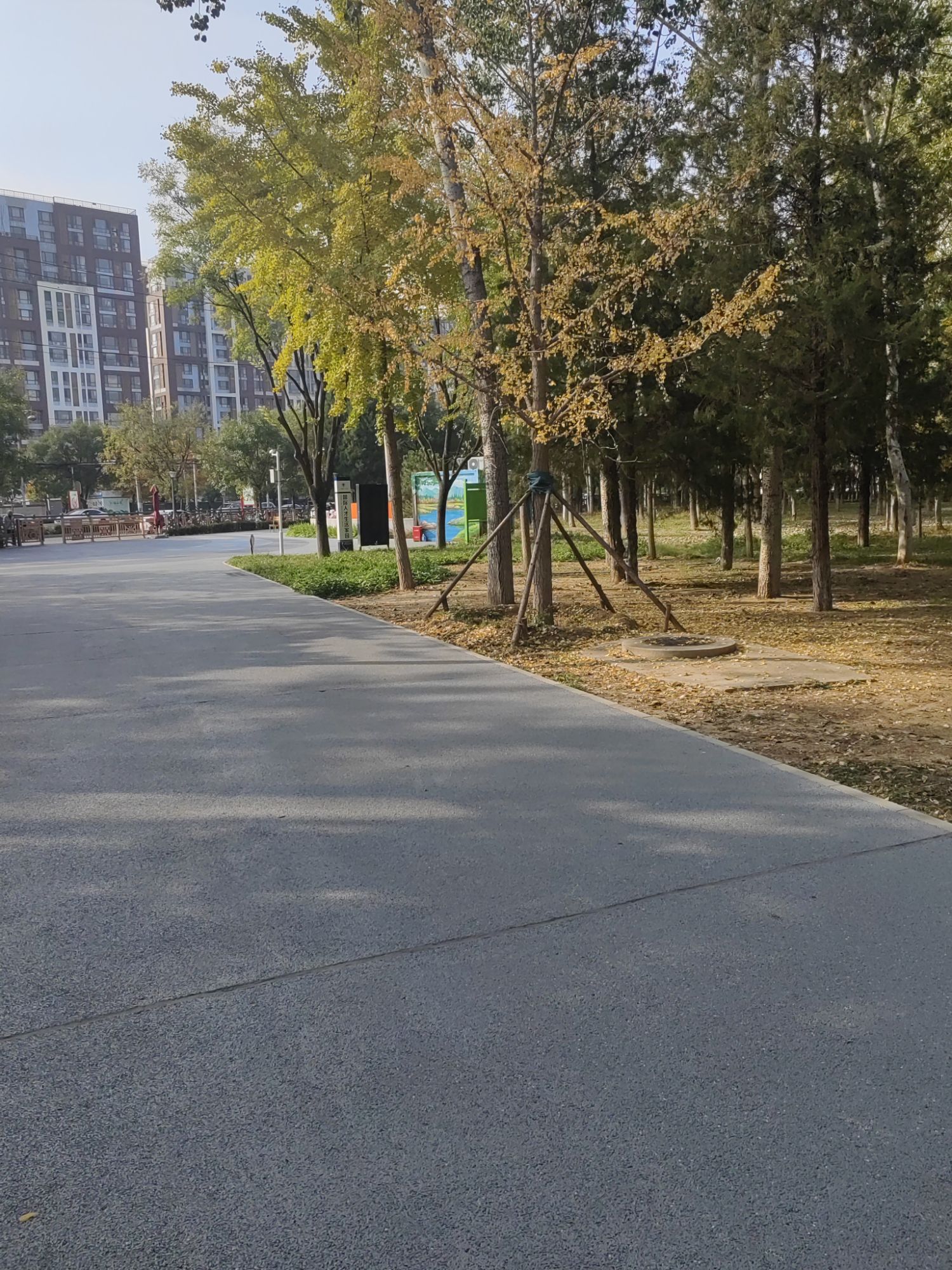 后沙峪人民公园旅行图片 3