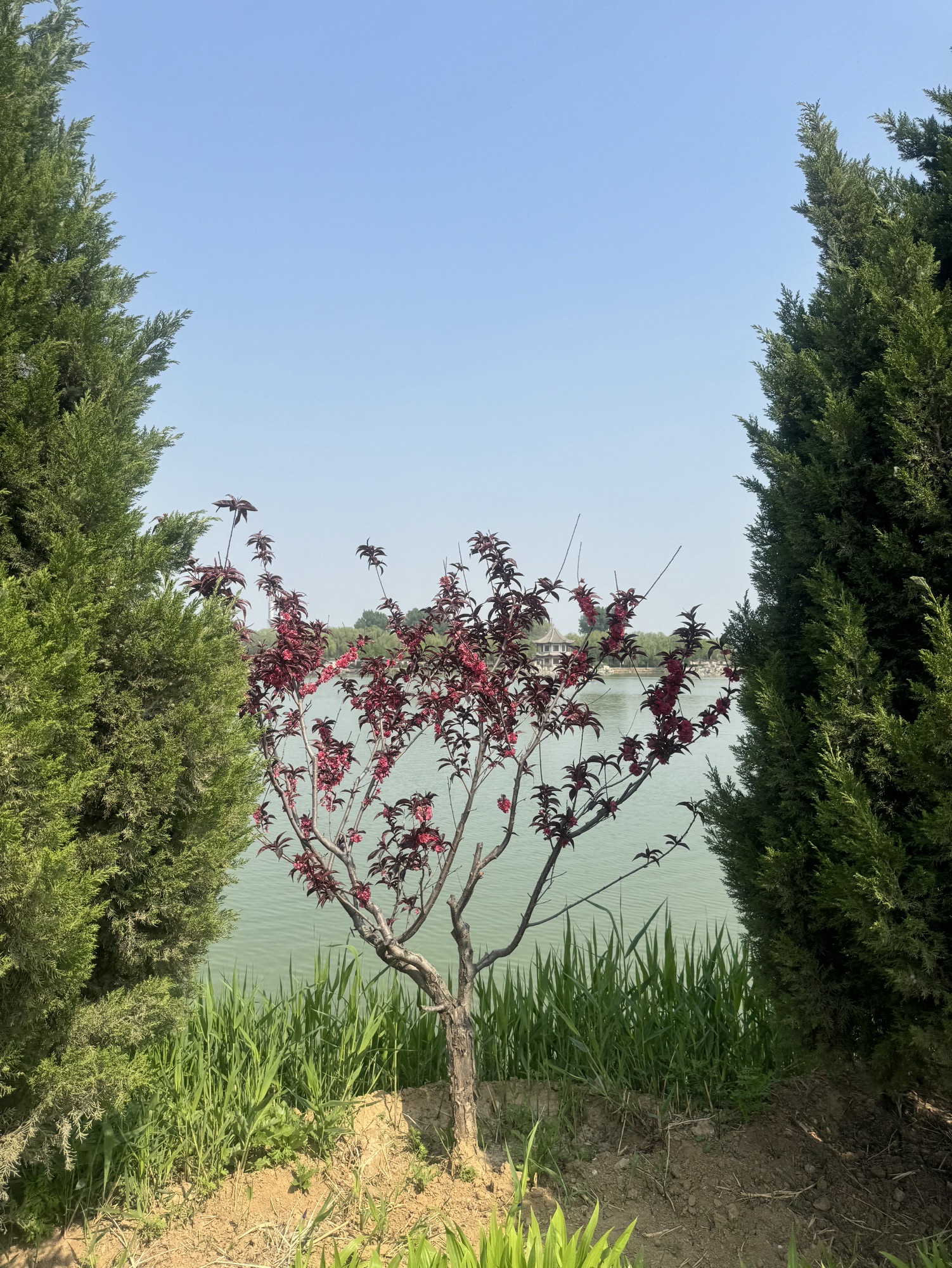 盛世南宫影视文化城旅行图片 3