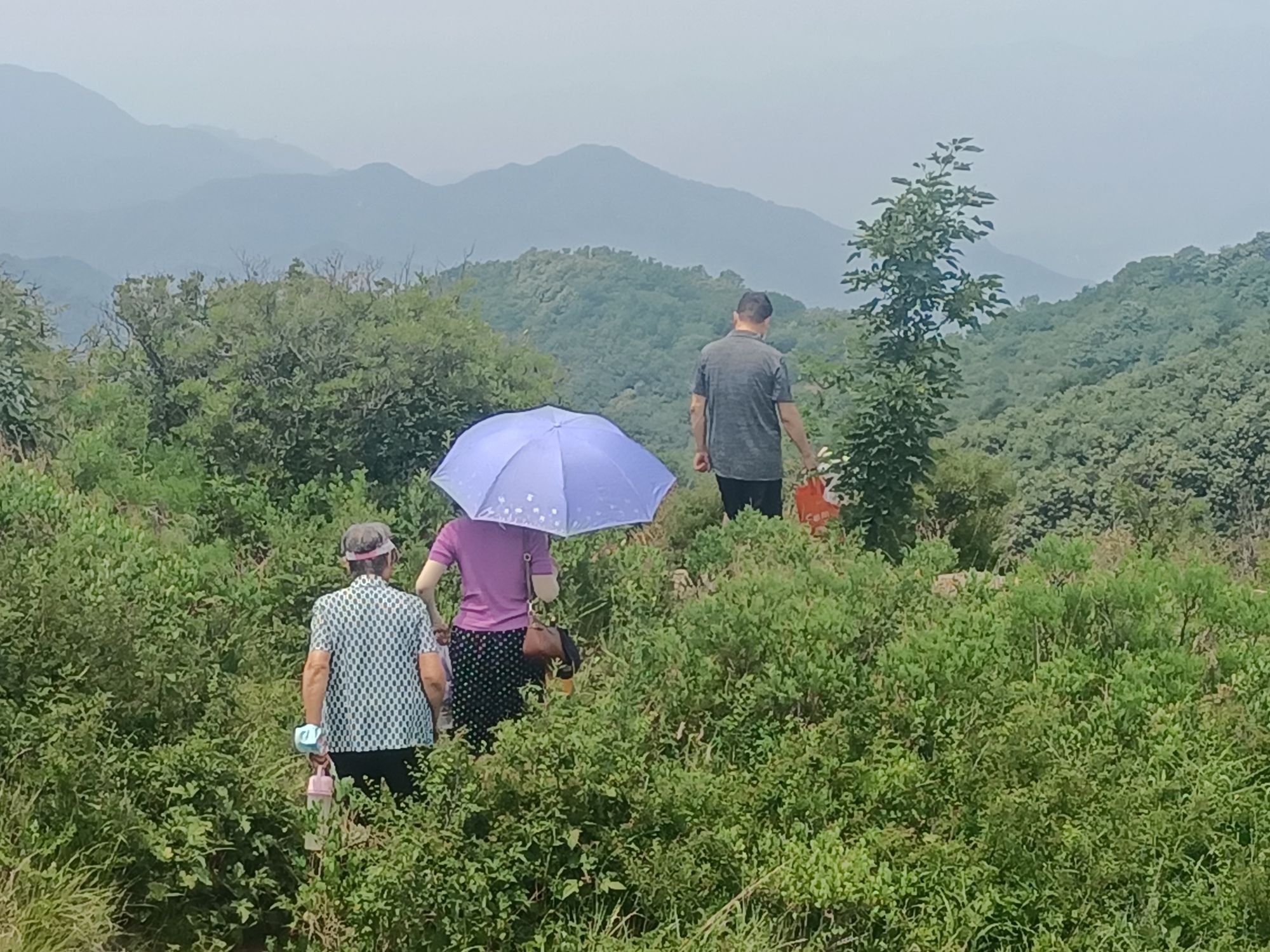 妙峰山森林公园旅行图片 2