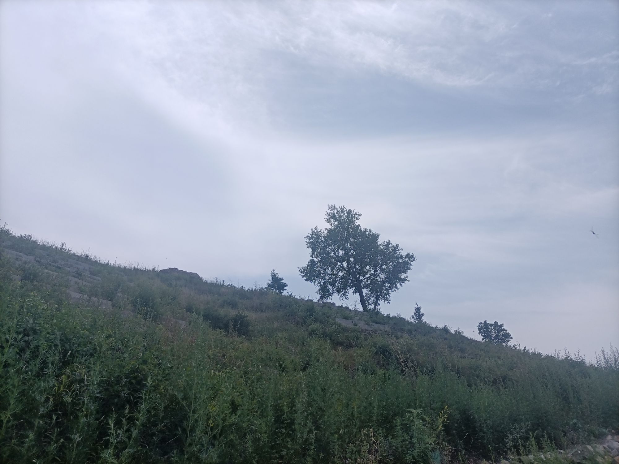 妙峰山森林公园旅行图片 3