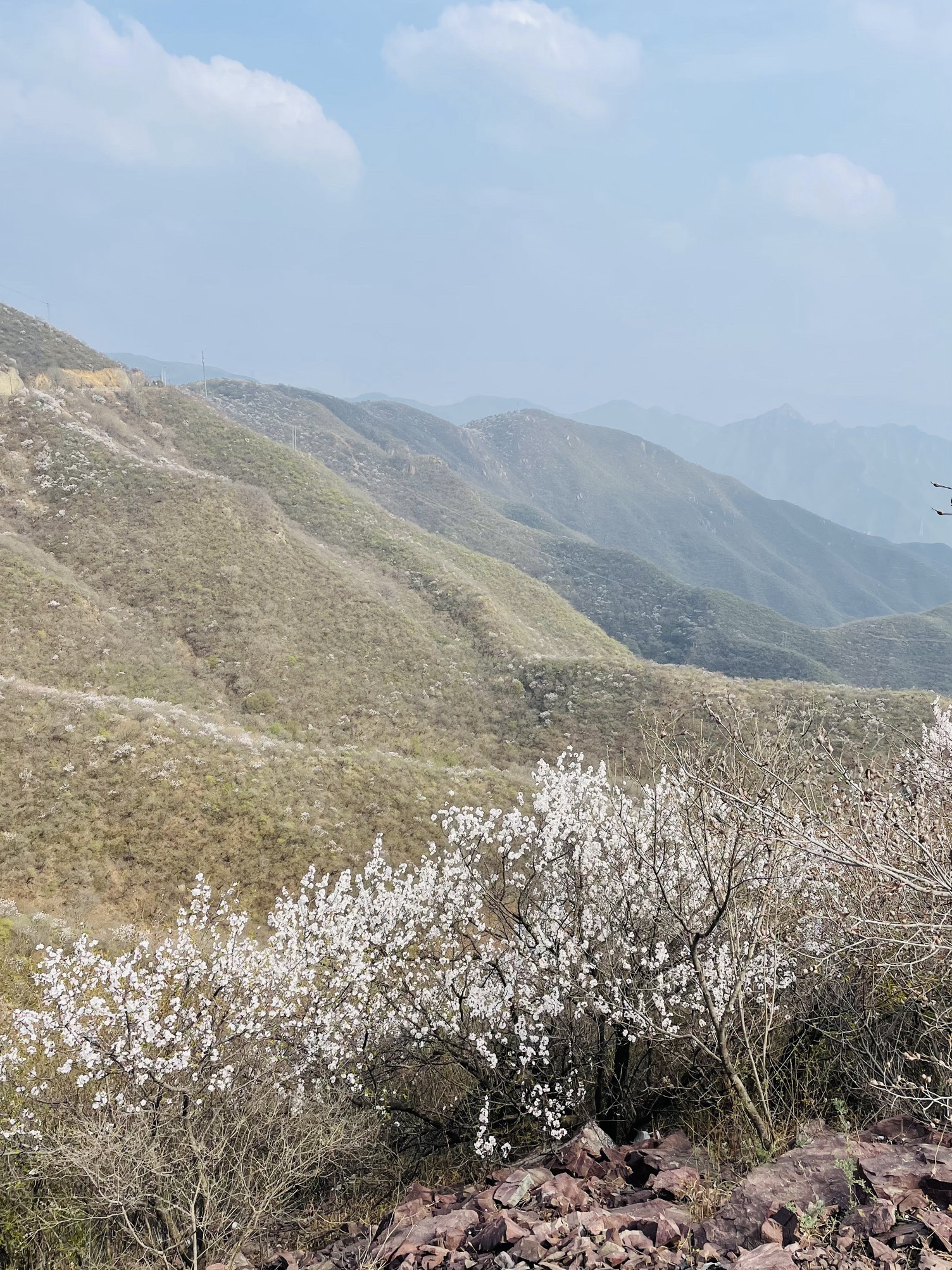 妙峰山森林公园旅行图片 1
