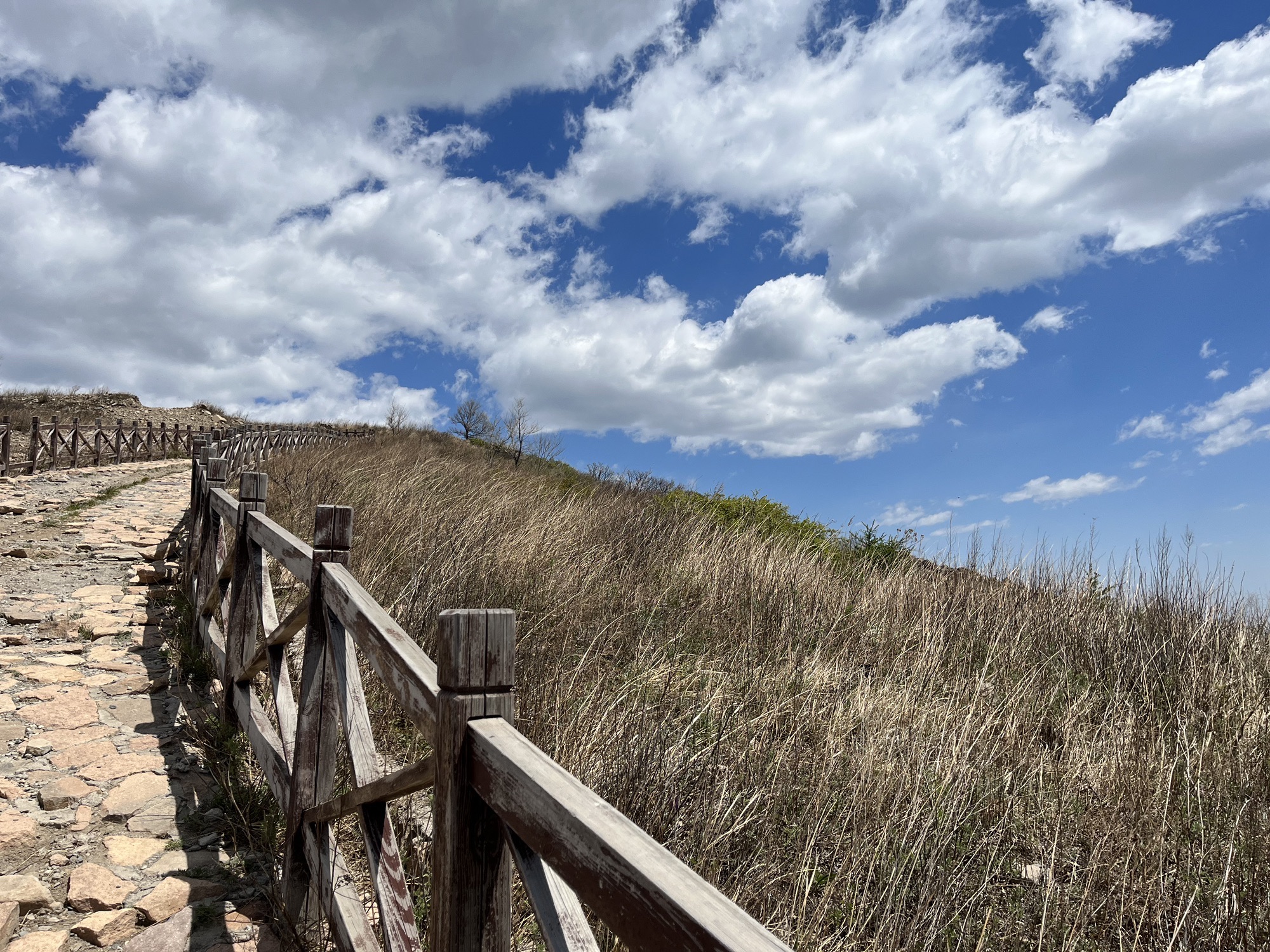 妙峰山森林公园旅行图片 2