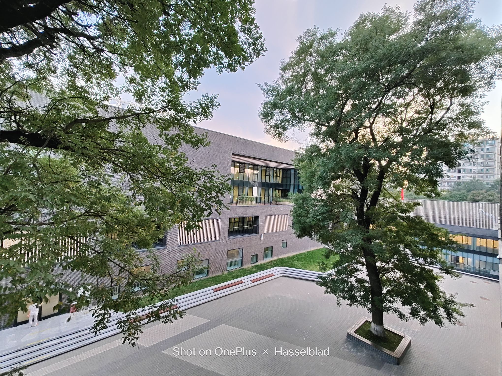 北京师范大学附属中学(西校区)
