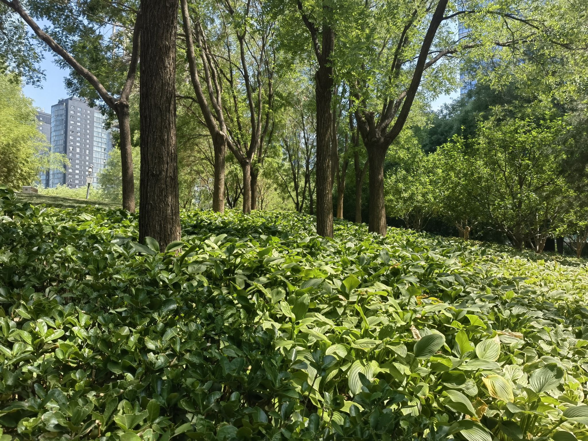 CBD历史文化公园旅行图片 2
