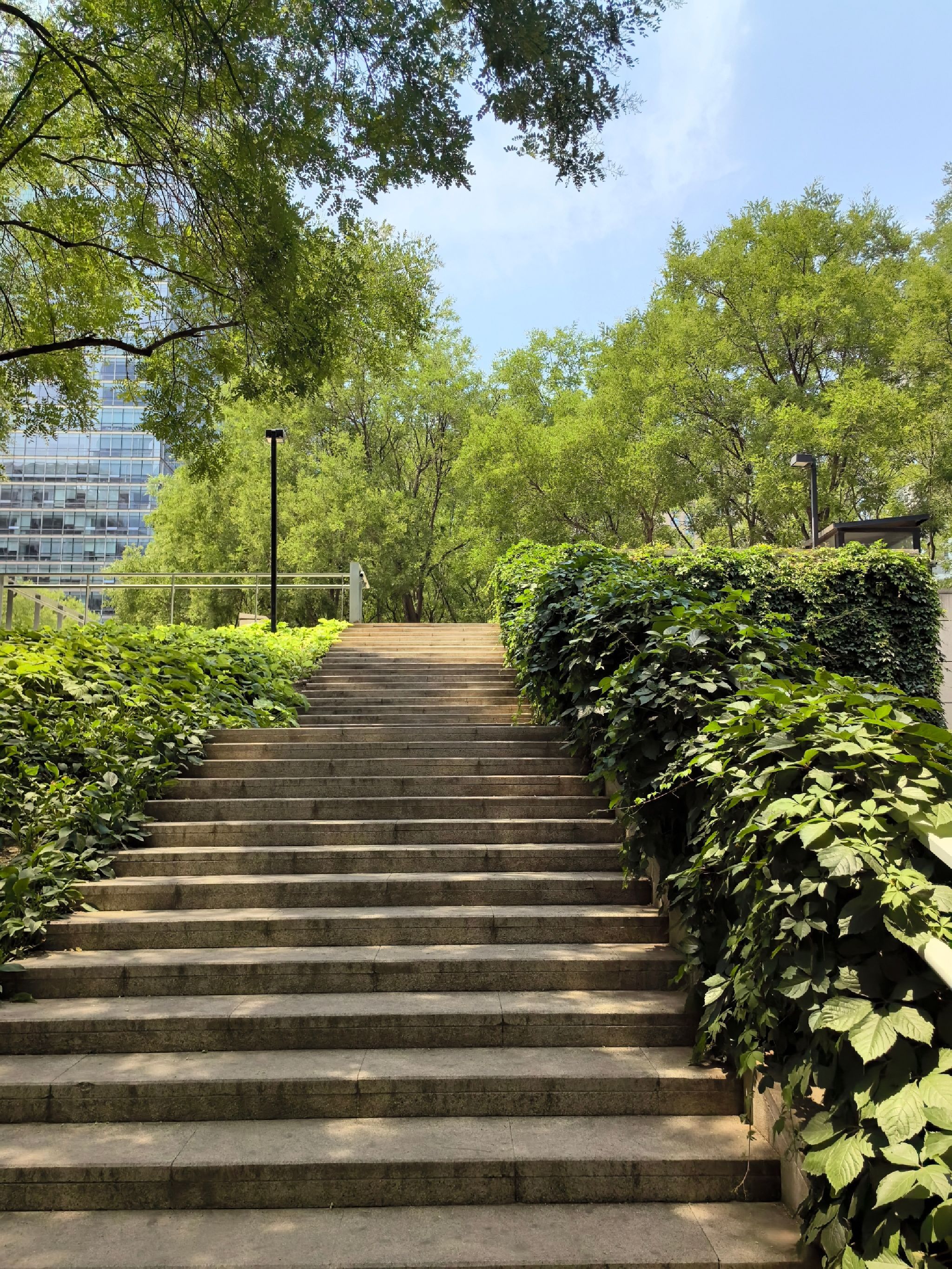 CBD历史文化公园旅行图片 3