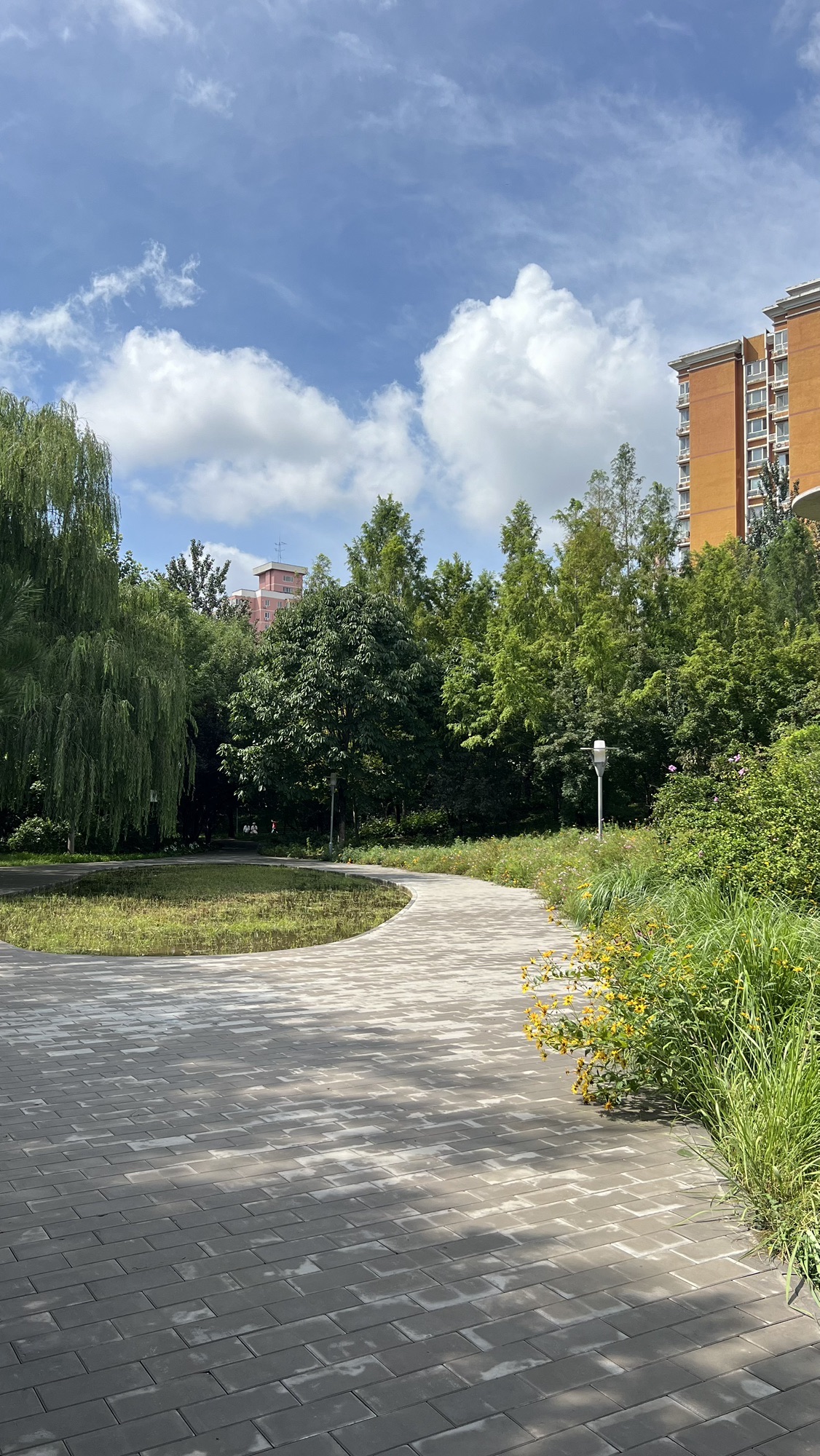 北极寺公园旅行图片 2