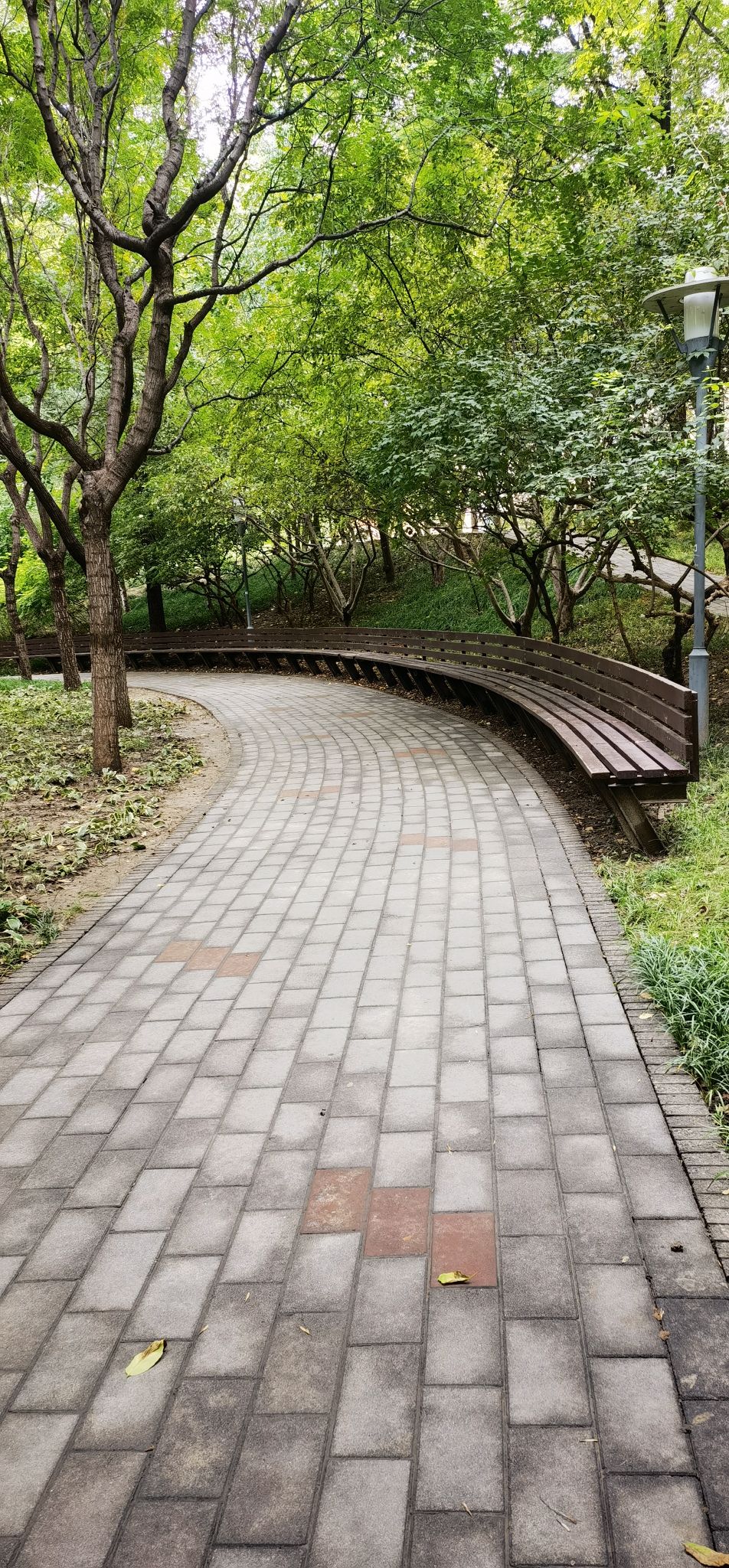 北极寺公园 - 学院路街道便民圈栖邻生活圈风景名胜服务点实景照片