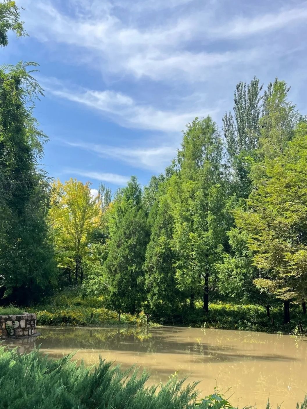 北极寺公园旅行图片 1