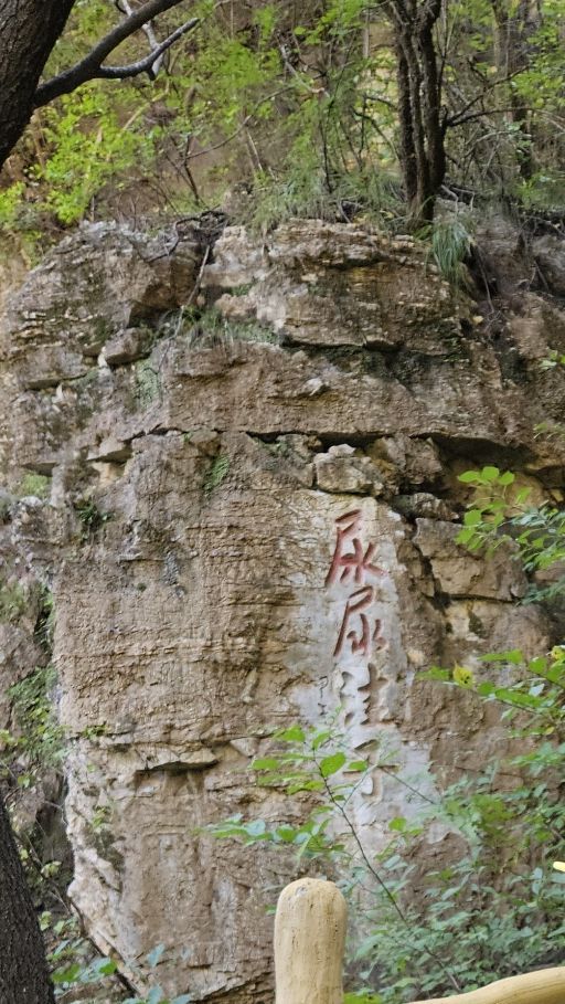 黄草梁风景区旅行图片 1