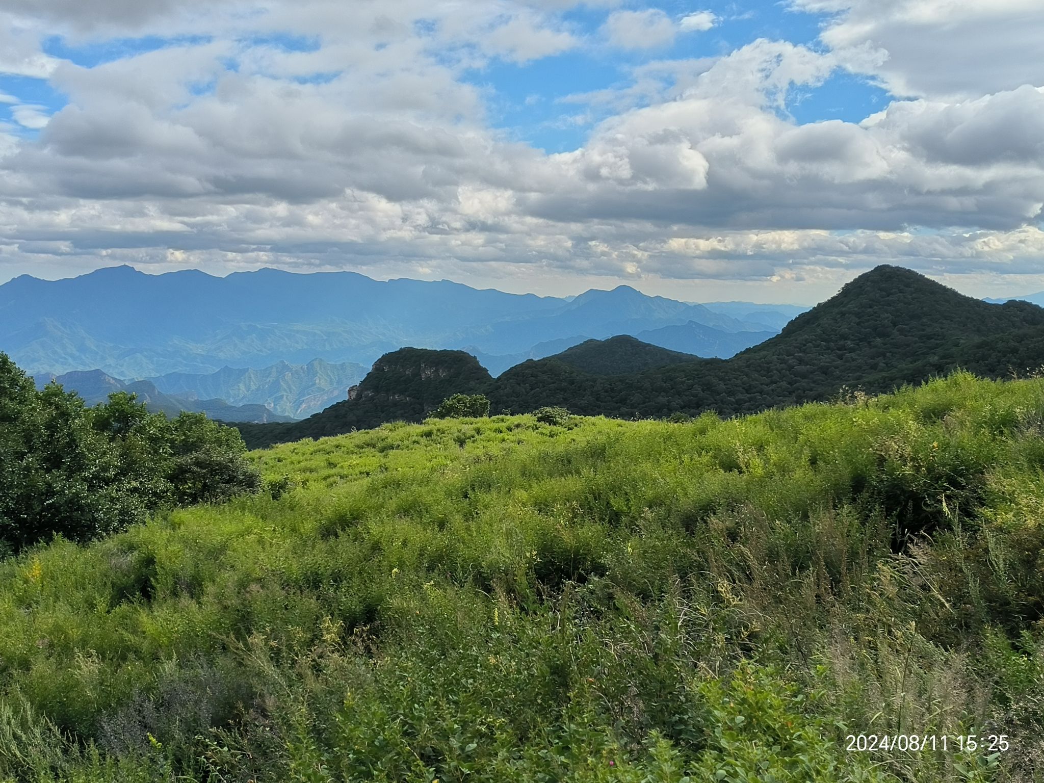 黄草梁风景区旅行图片 2