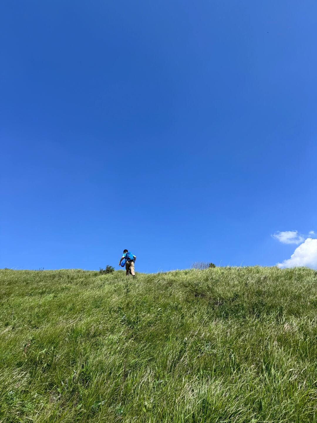 黄草梁风景区旅行图片 2