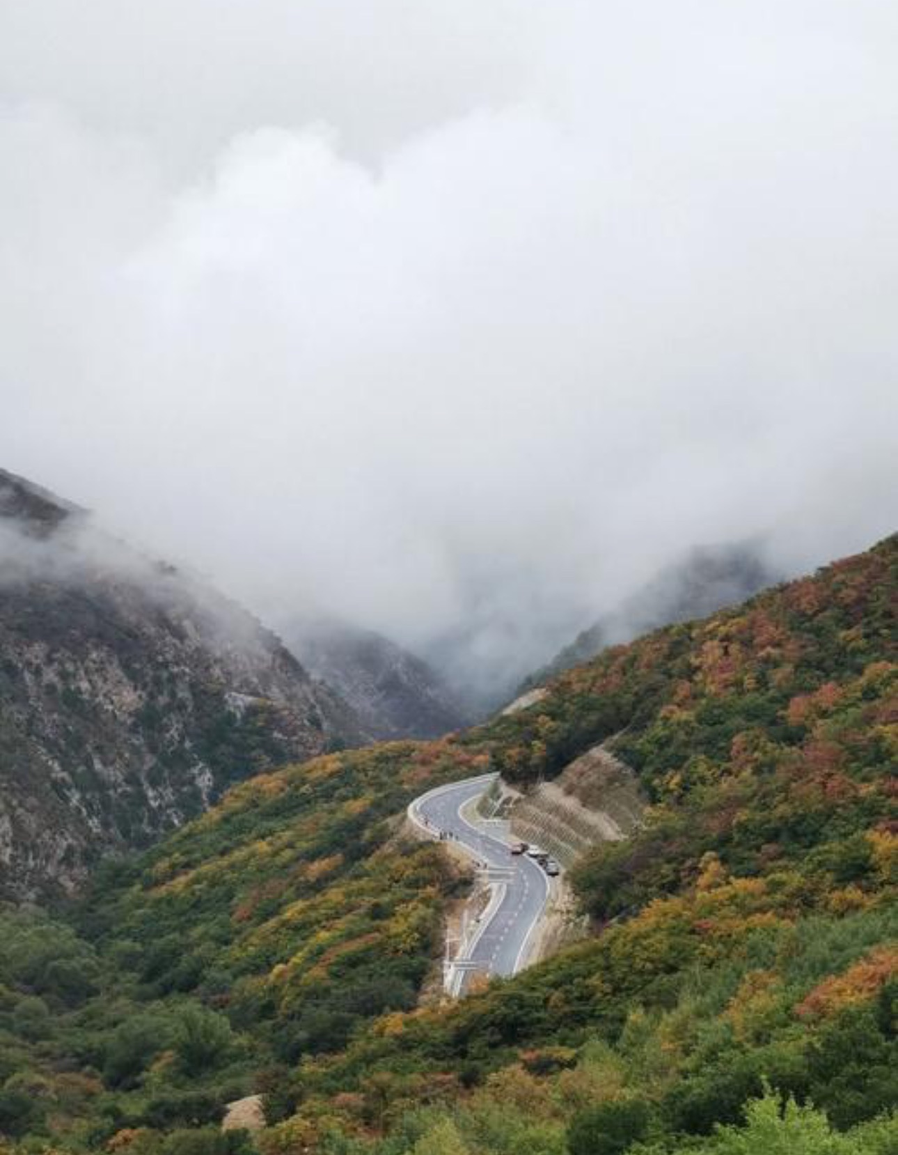 黄草梁风景区旅行图片 2