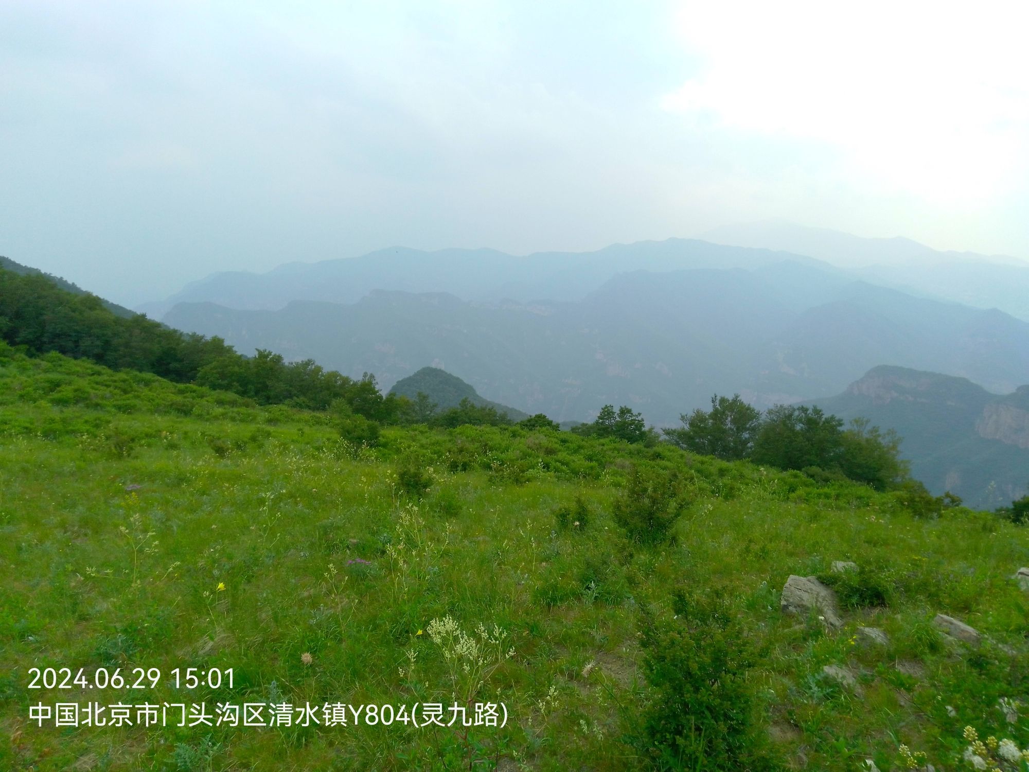 黄草梁风景区旅行图片 2