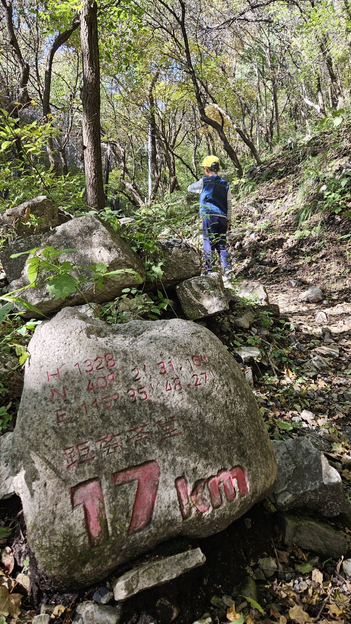 黄草梁风景区旅行图片 2