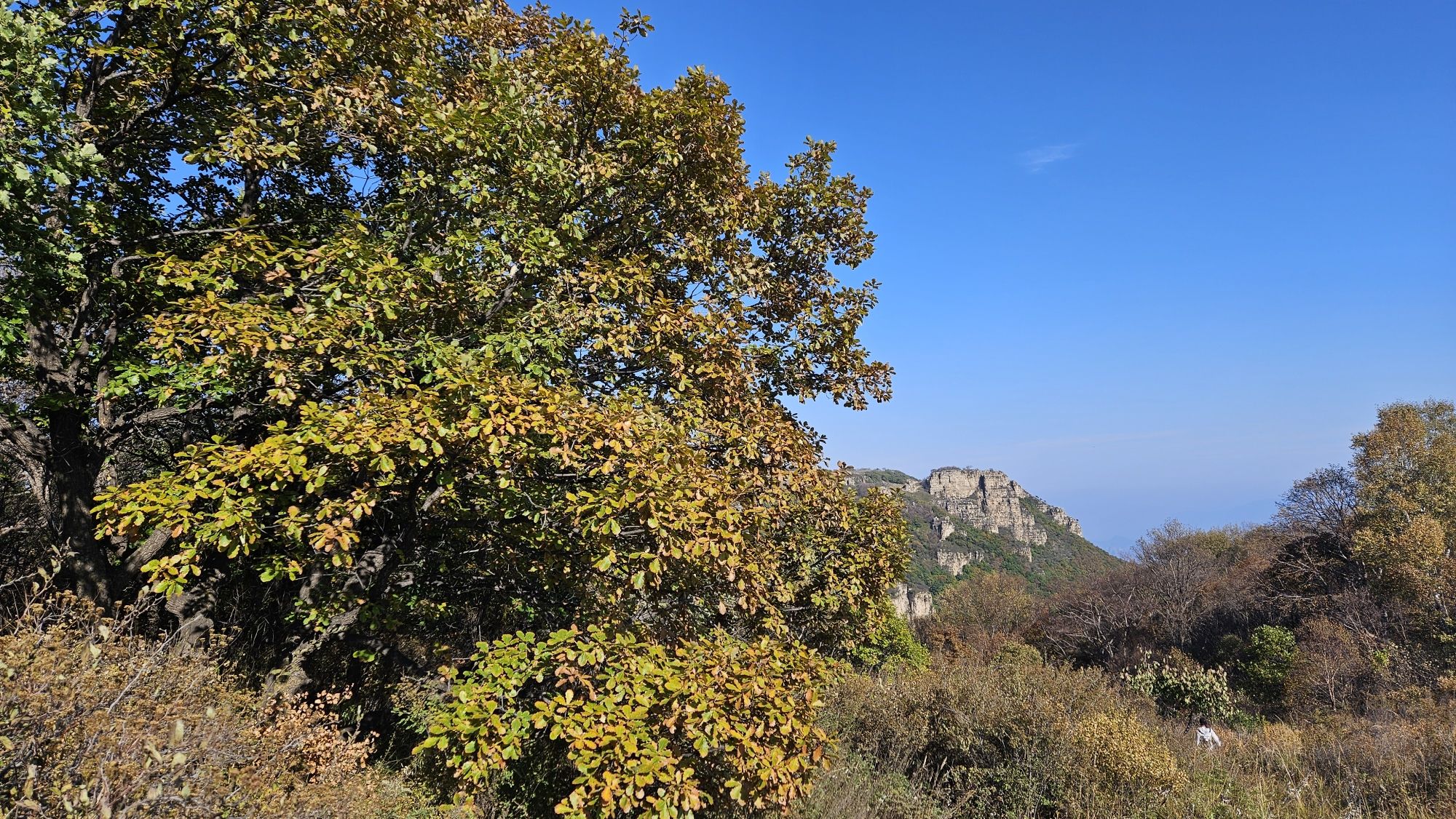 黄草梁风景区旅行图片 3