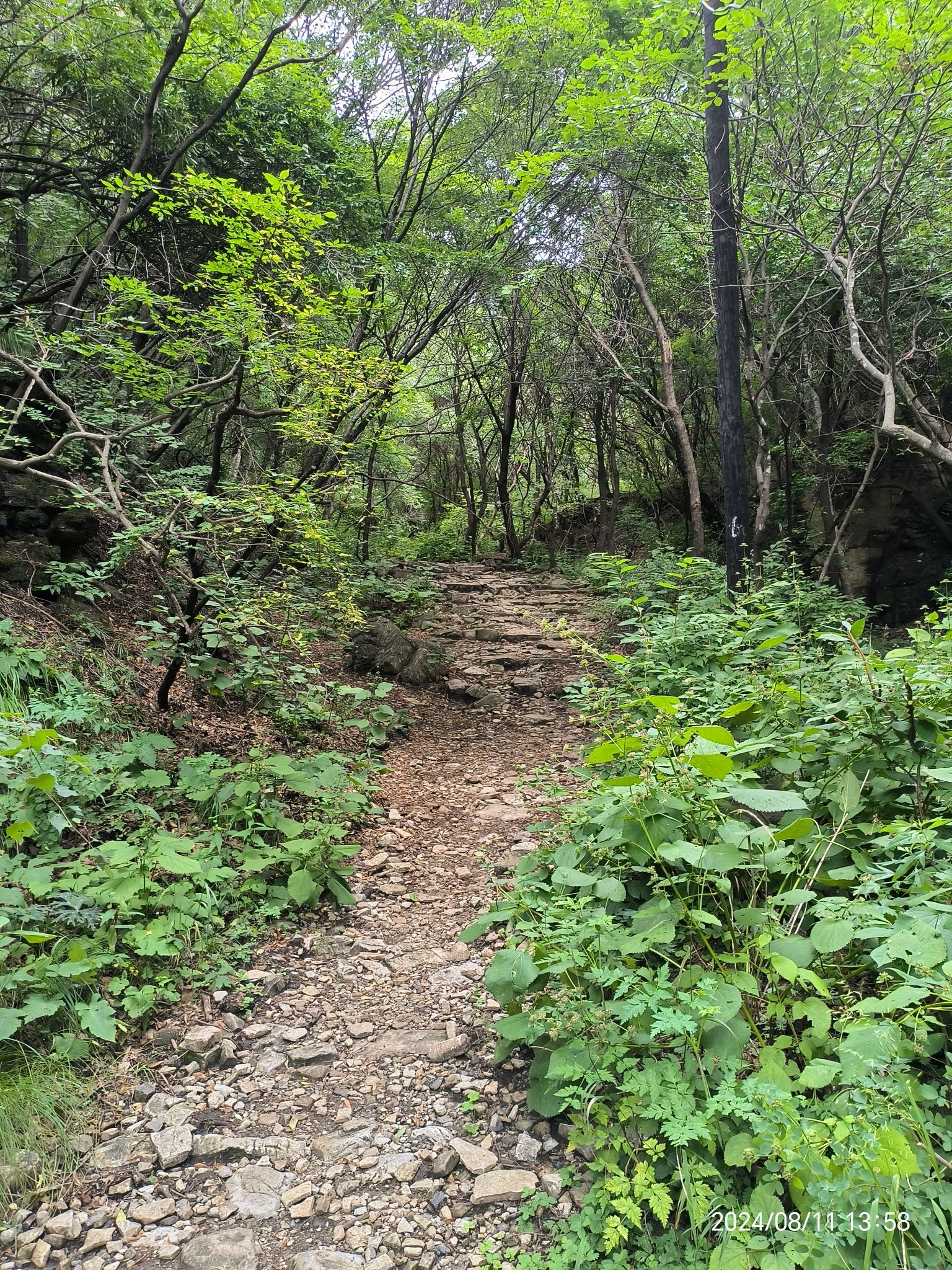 黄草梁风景区旅行图片 3
