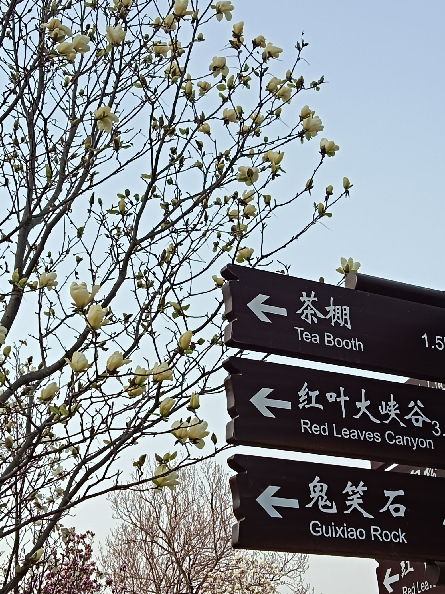 北京西山国家森林公园旅行图片 2