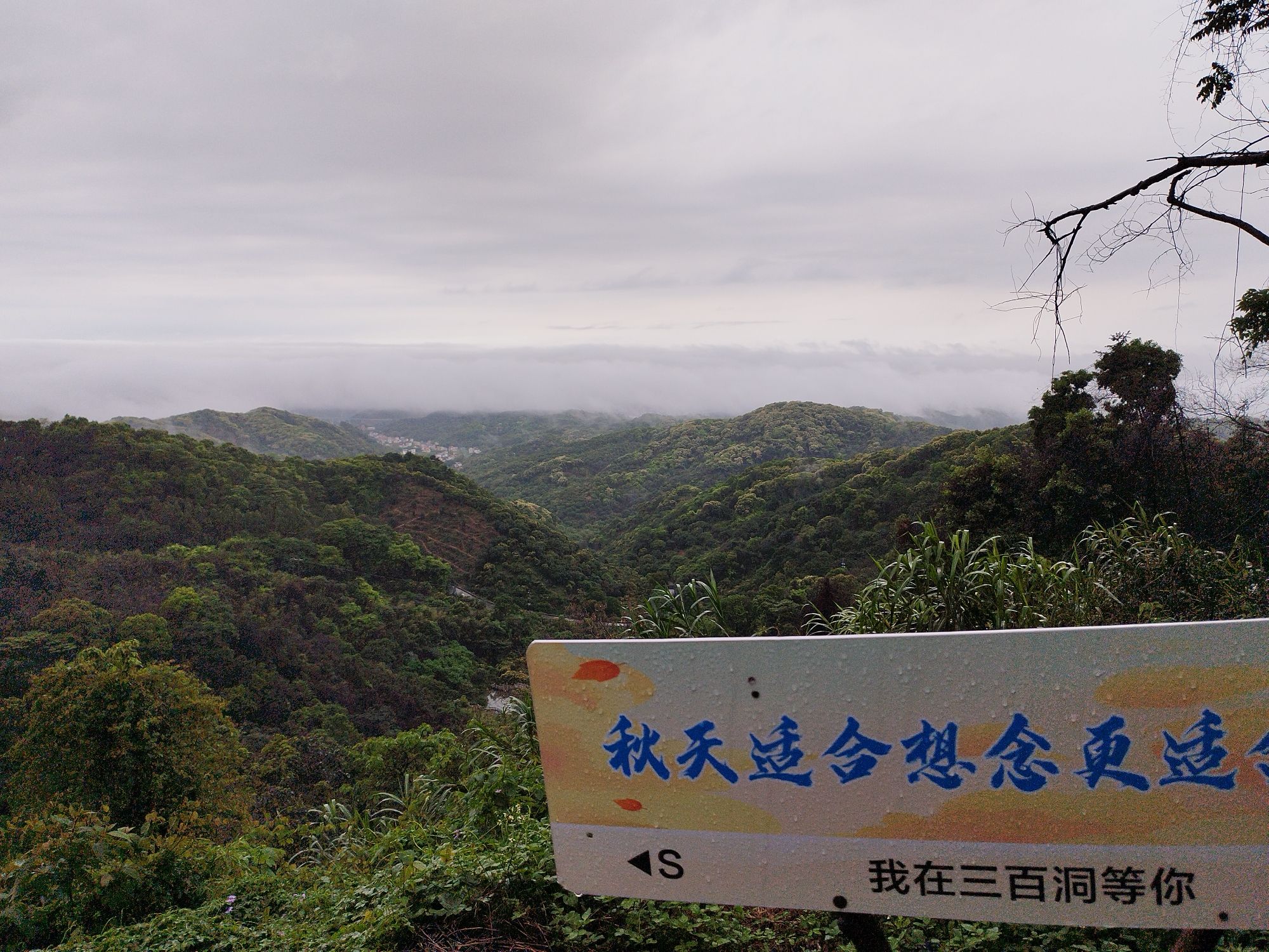 广州市三百洞森林养生度假山庄