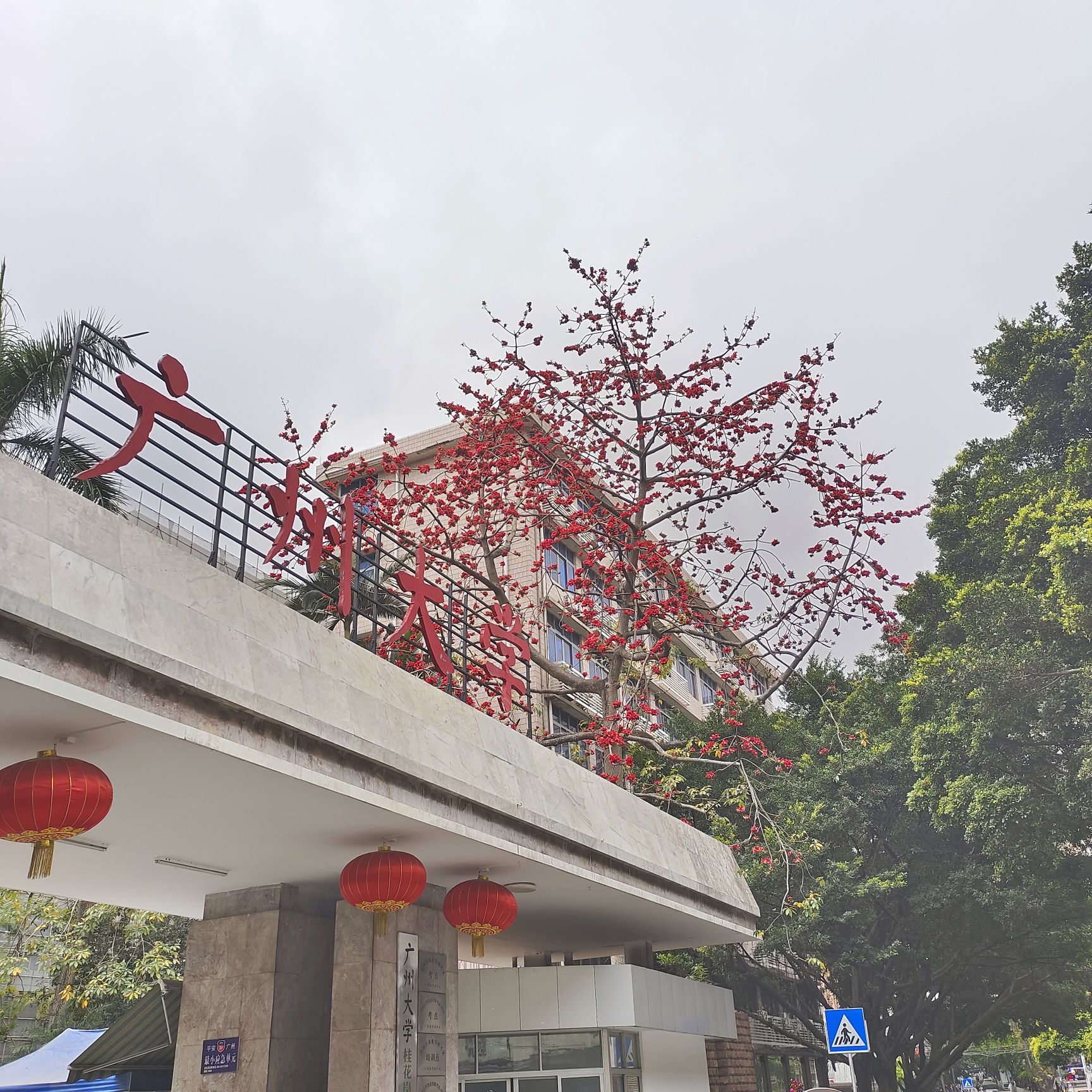广州大学(桂花岗校区)
