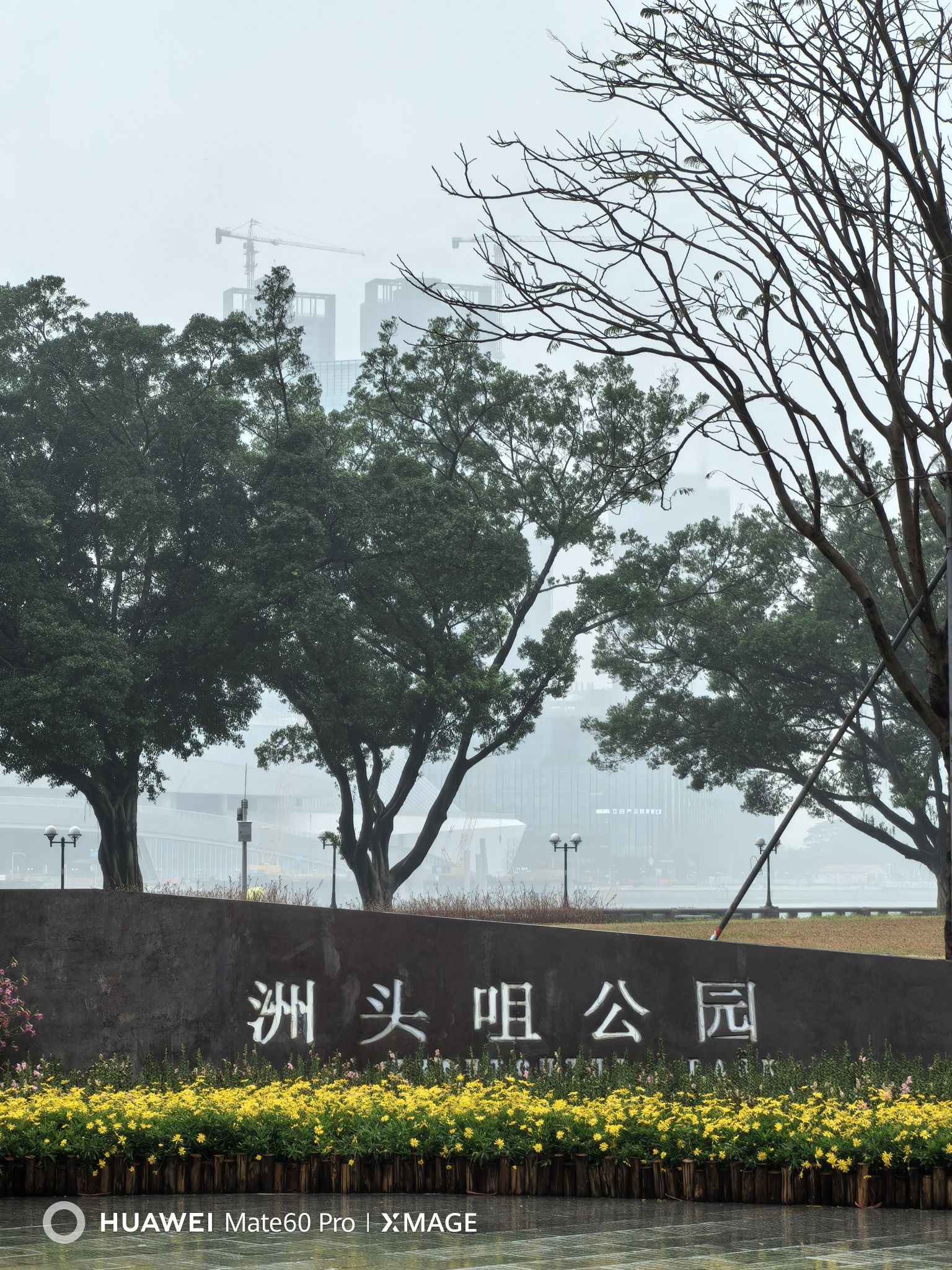 洲头咀公园旅行图片 1
