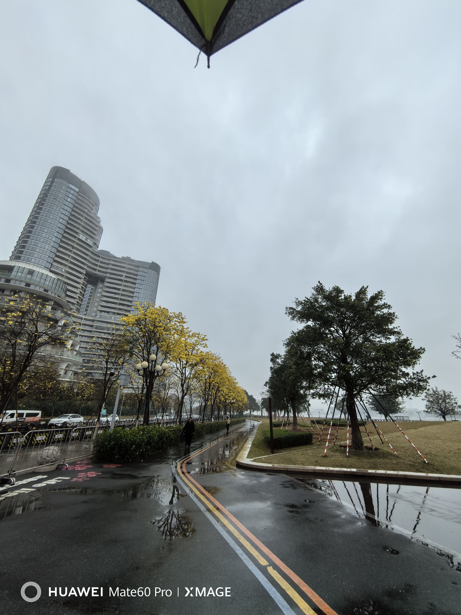 洲头咀公园旅行图片 2