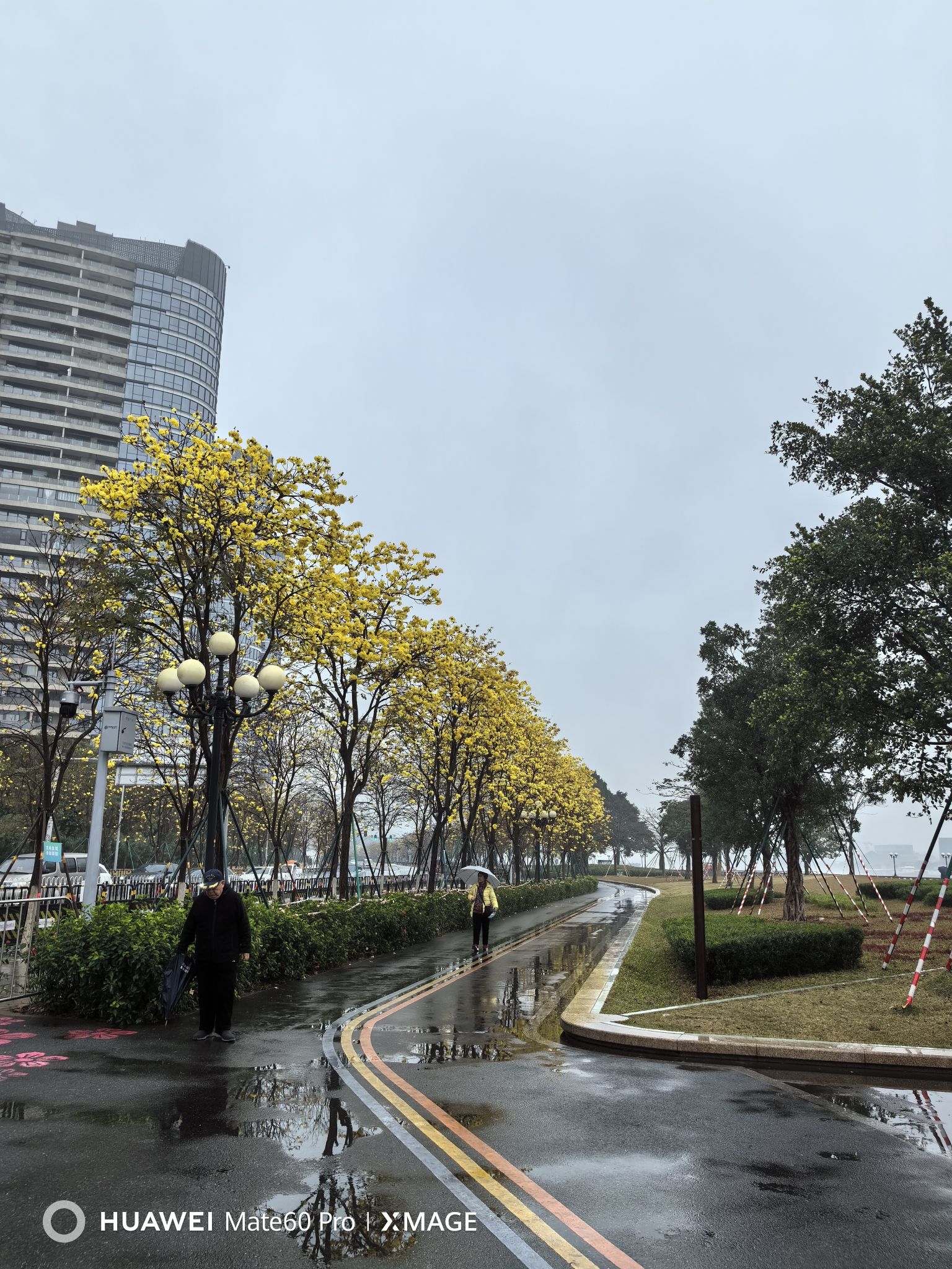 洲头咀公园旅行图片 3