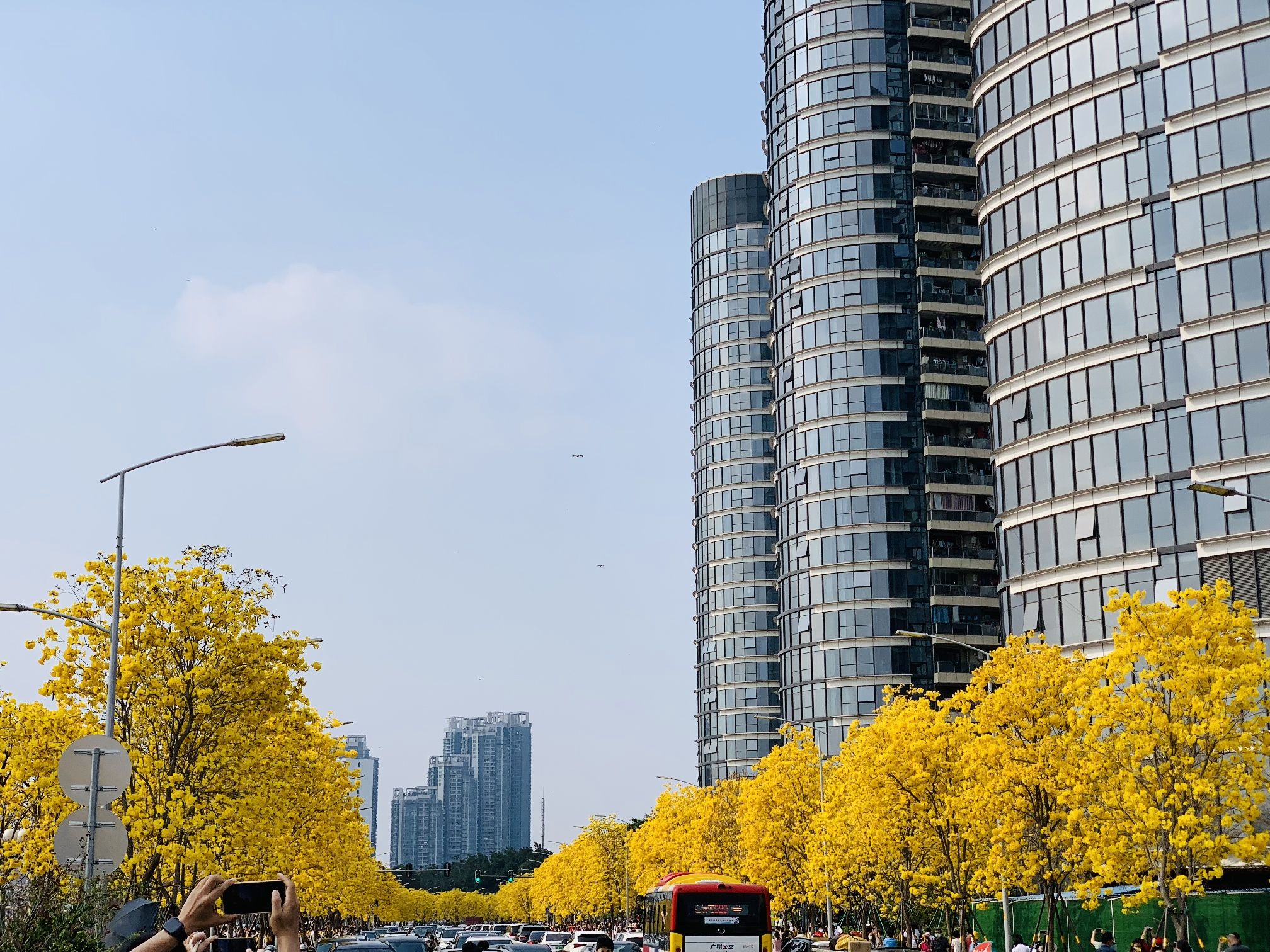洲头咀公园旅行图片 1