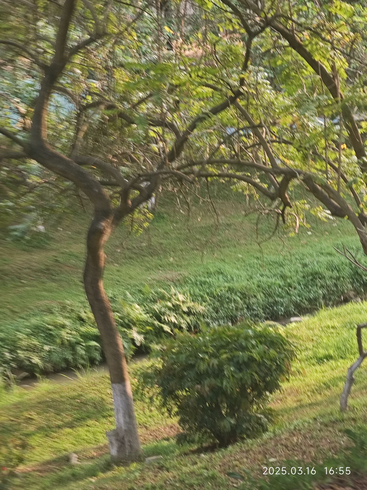 洲头咀公园旅行图片 1