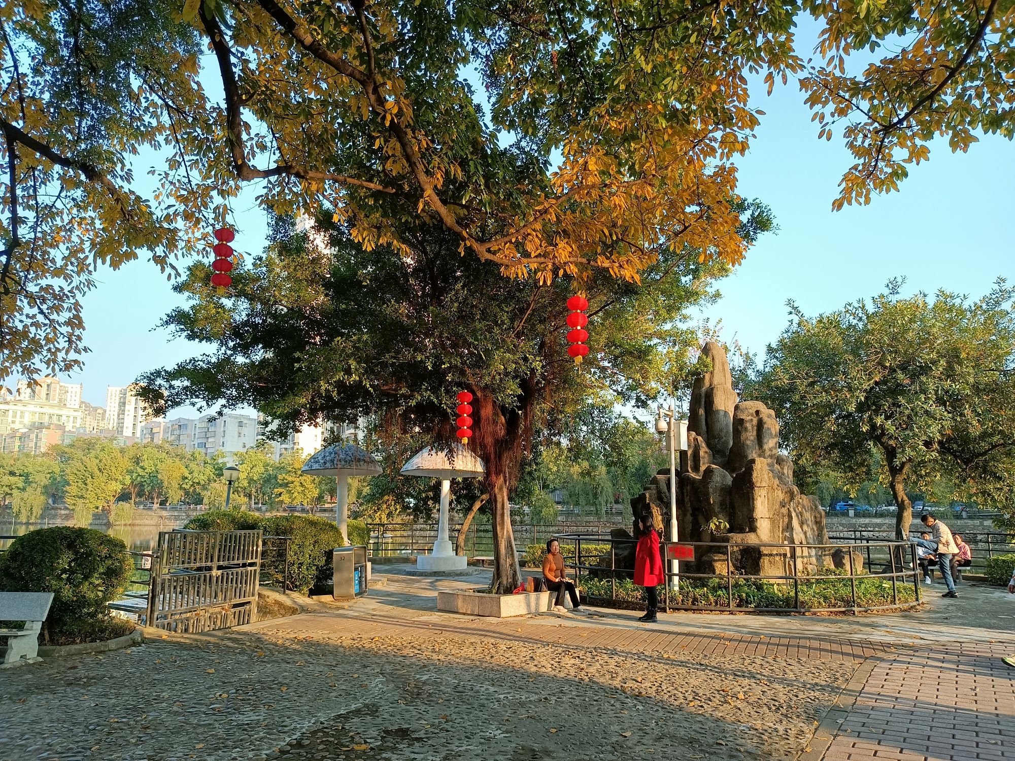 秀全公园旅行图片 3