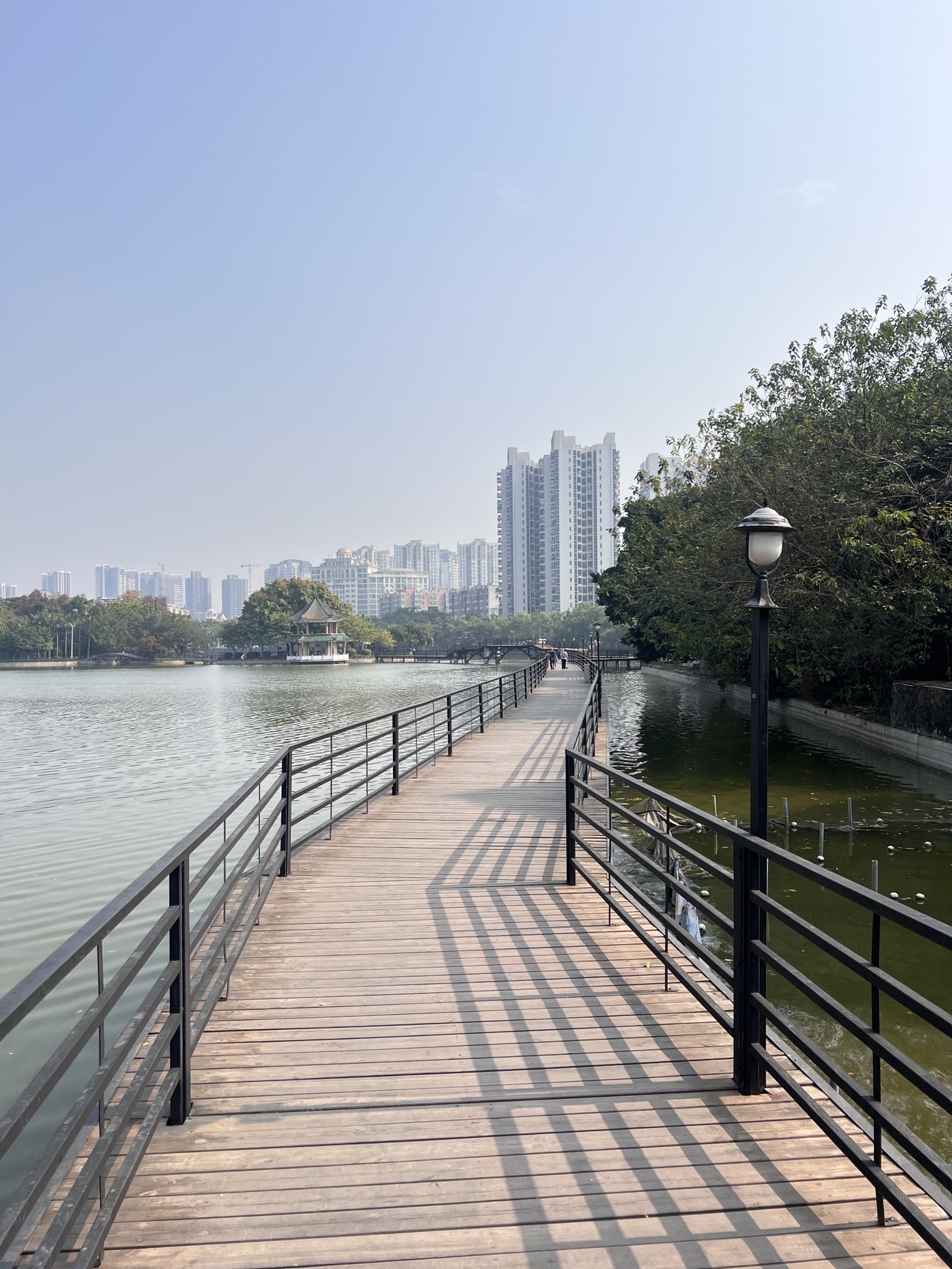 秀全公园旅行图片 1