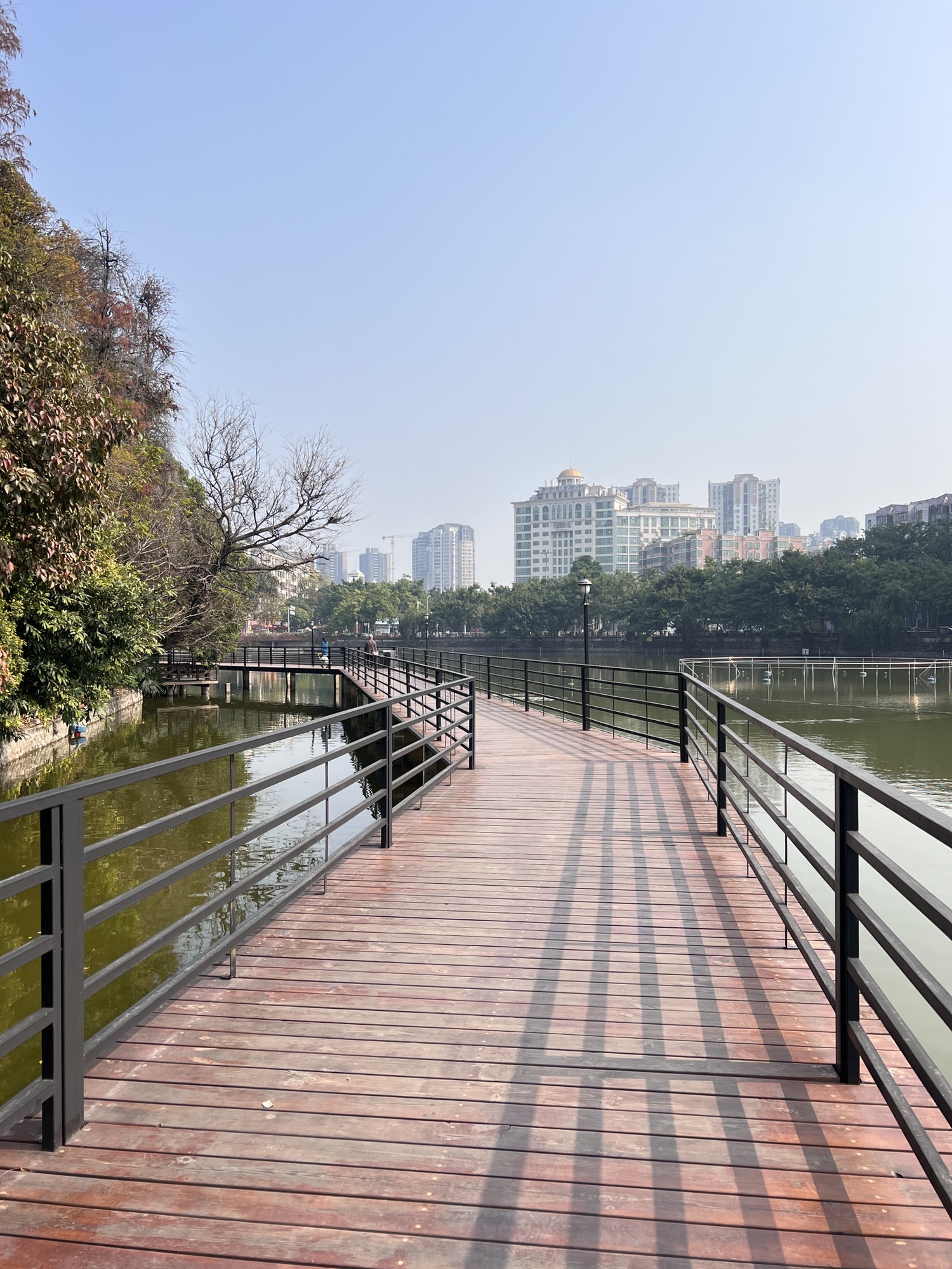 秀全公园旅行图片 2