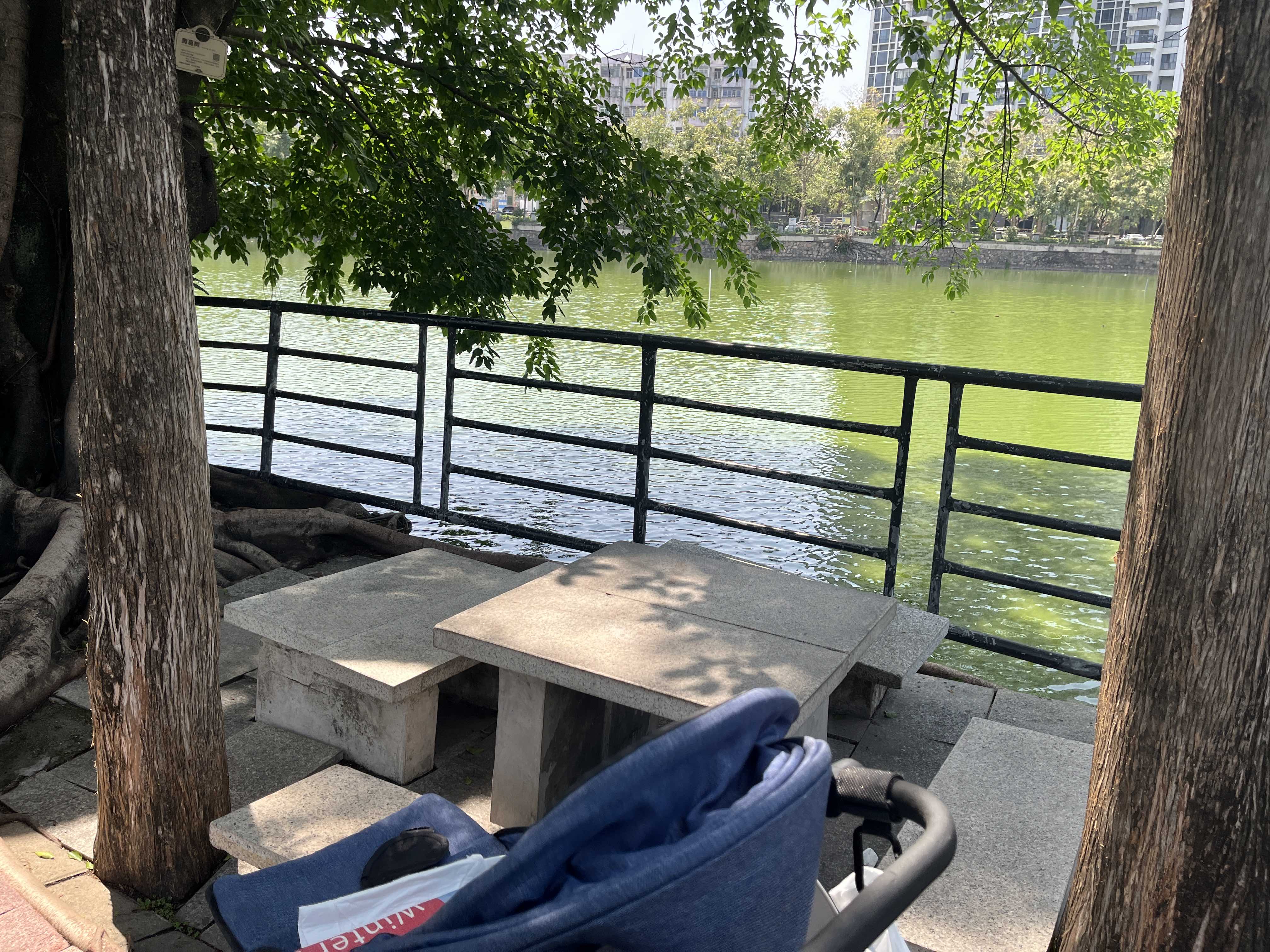 秀全公园旅行图片 2