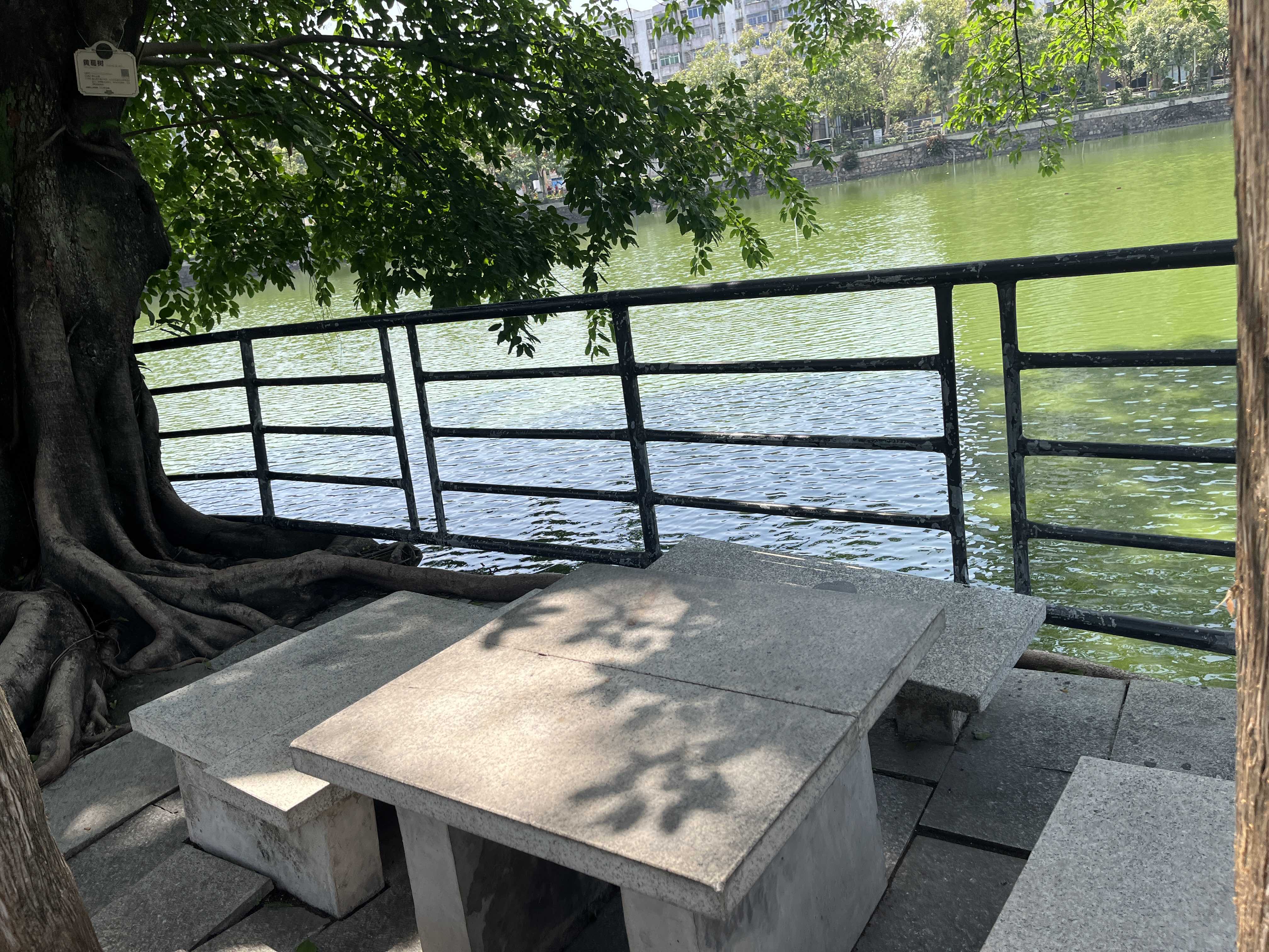秀全公园旅行图片 1