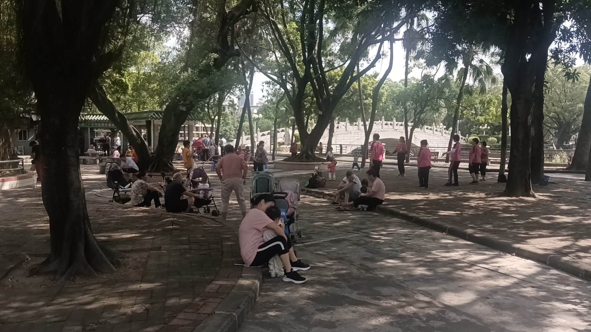 秀全公园旅行图片 3