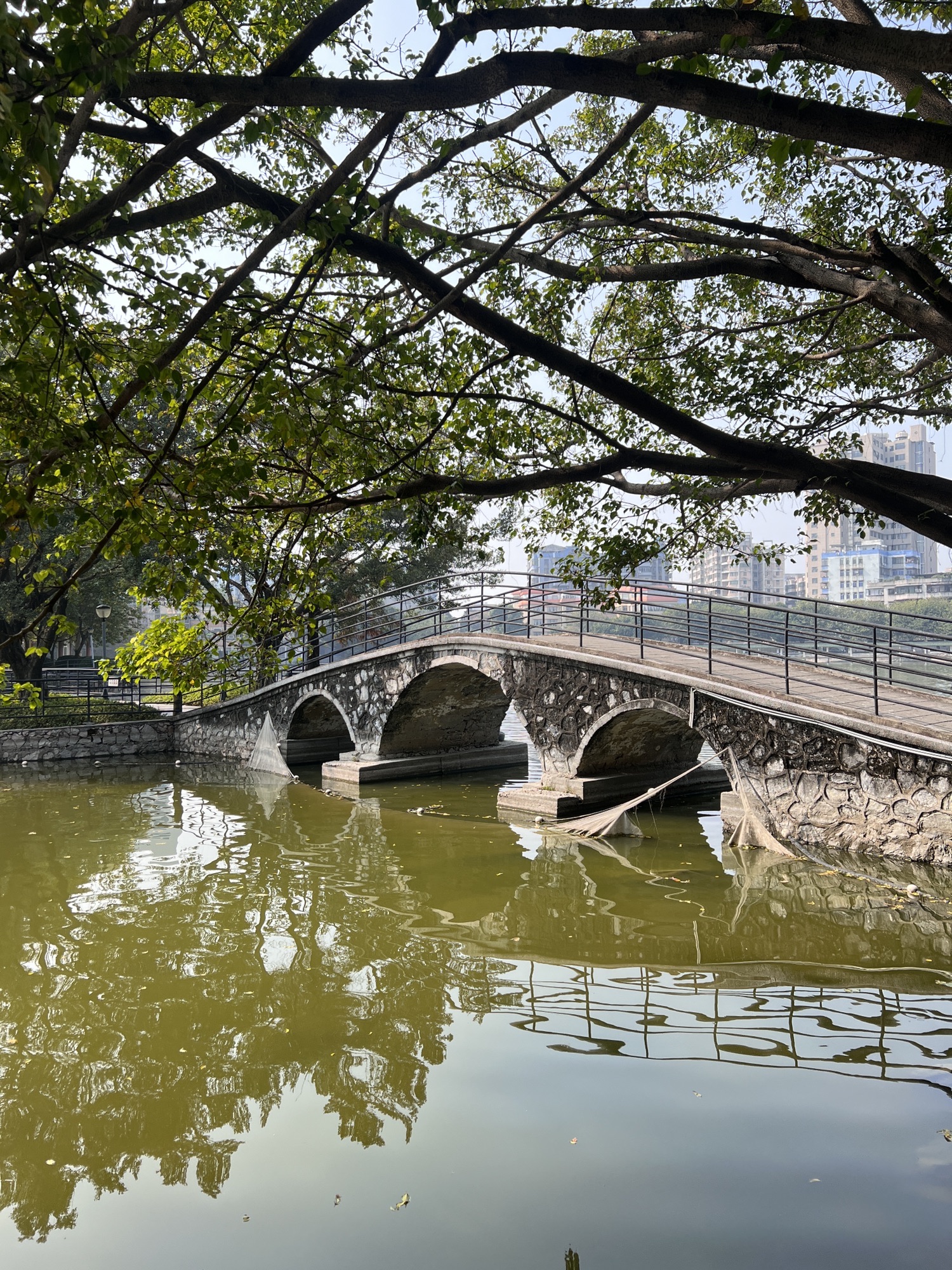 秀全公园旅行图片 3