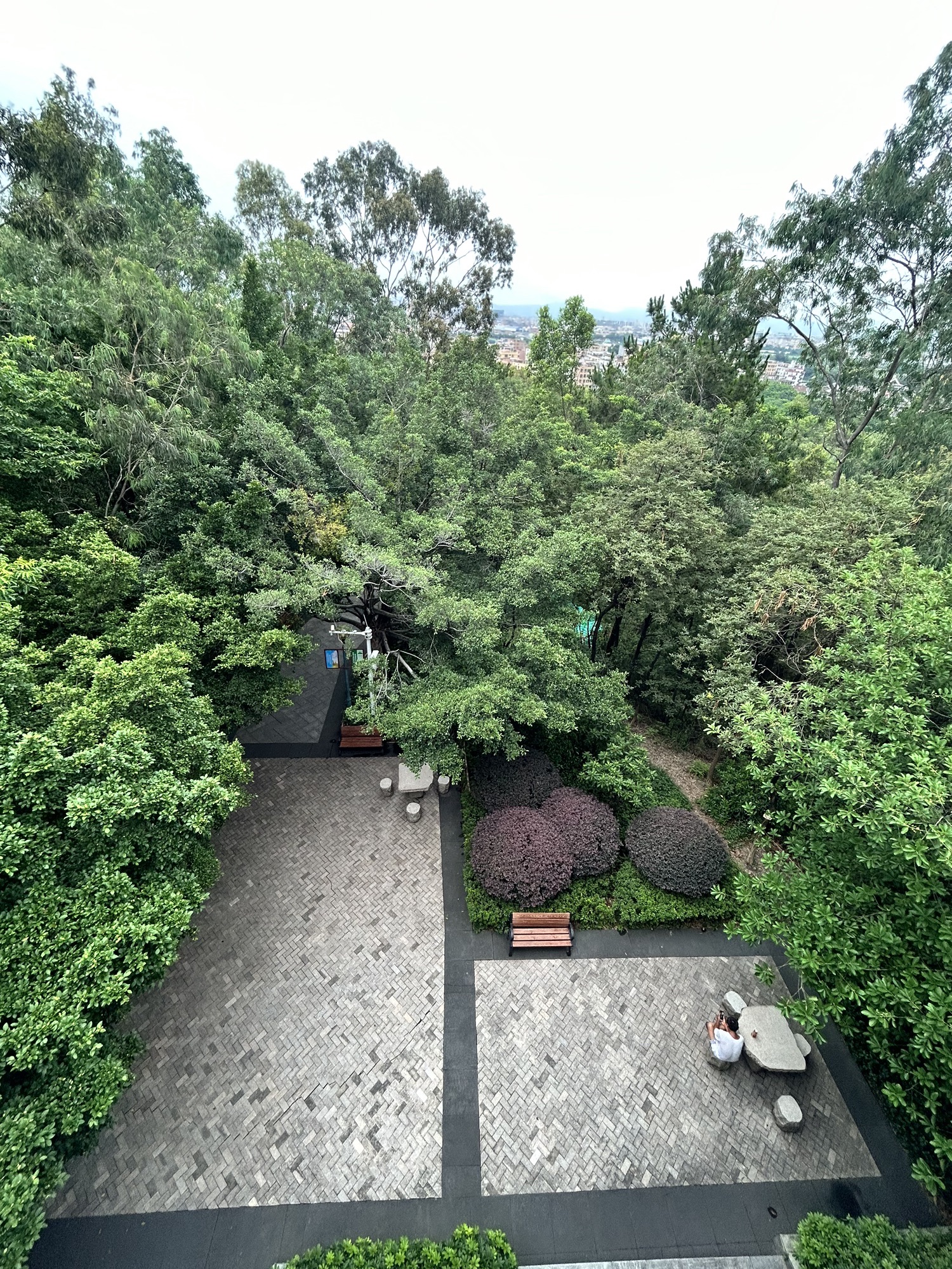 马鞍山公园旅行图片 3