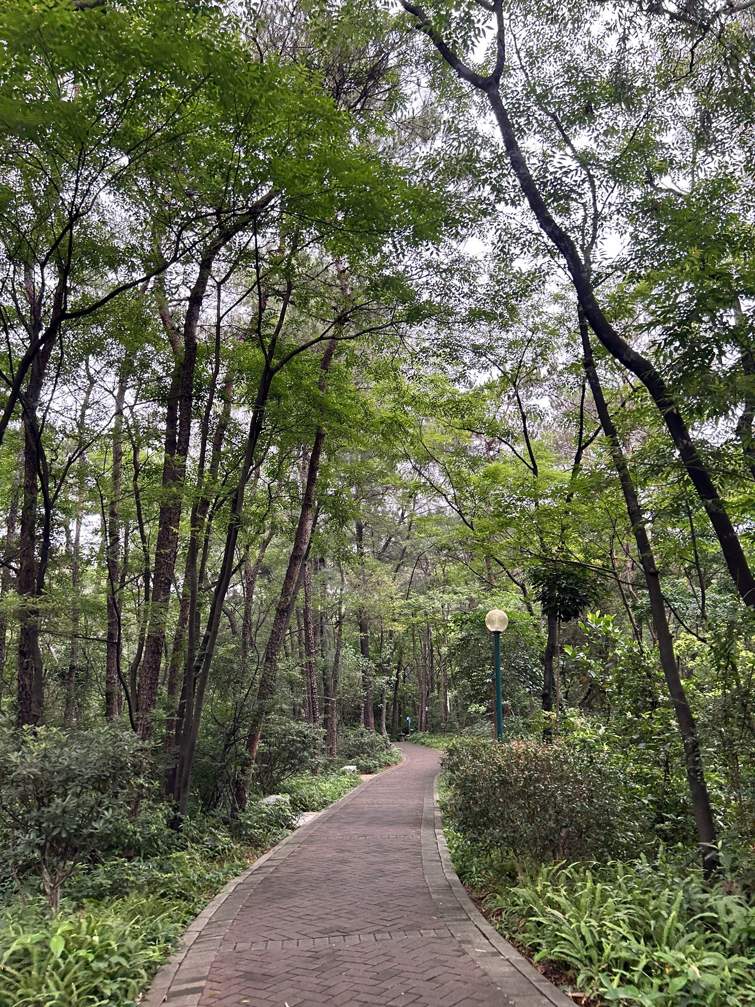 马鞍山公园旅行图片 1