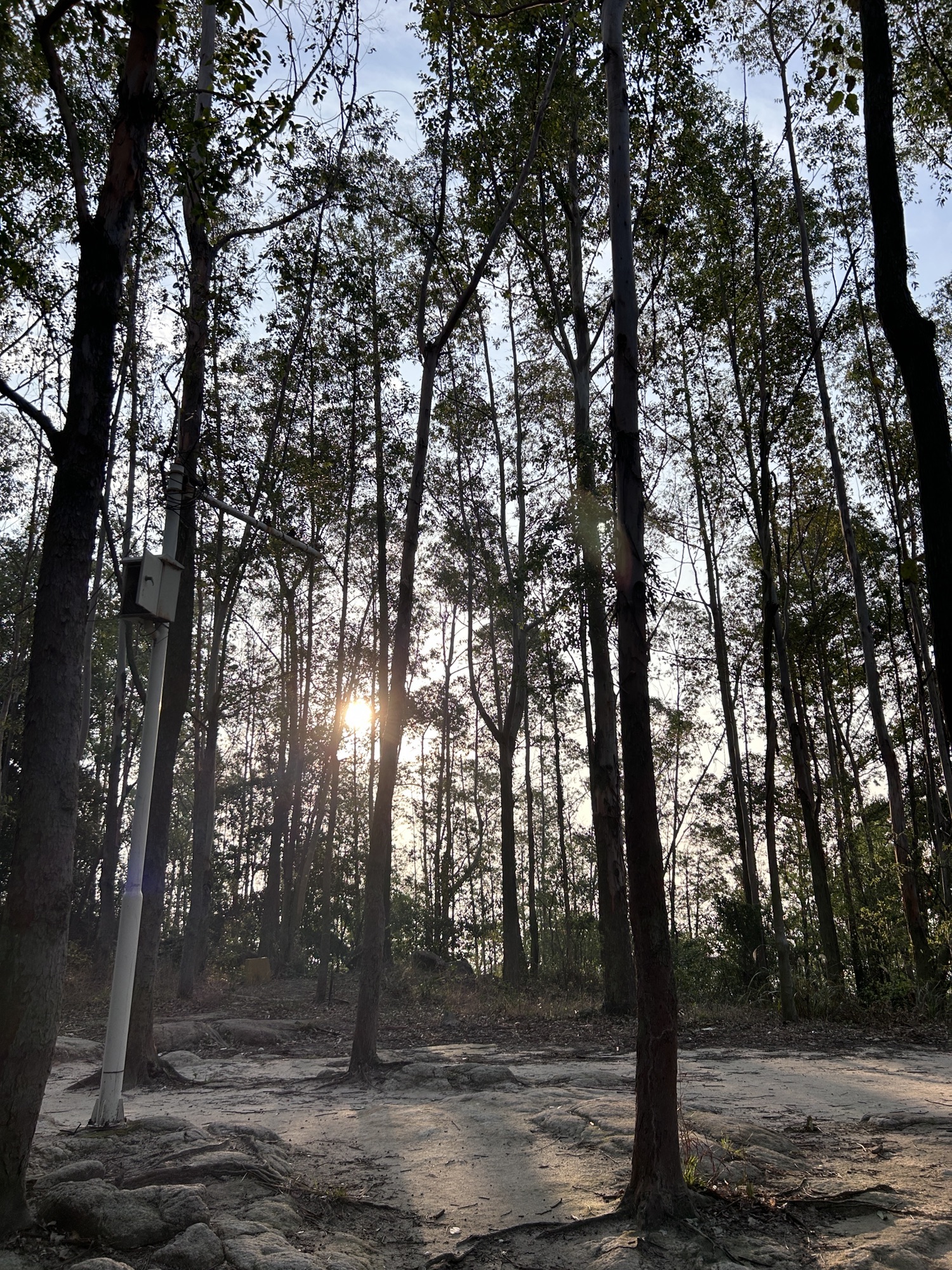 盘古王公园旅行图片 3