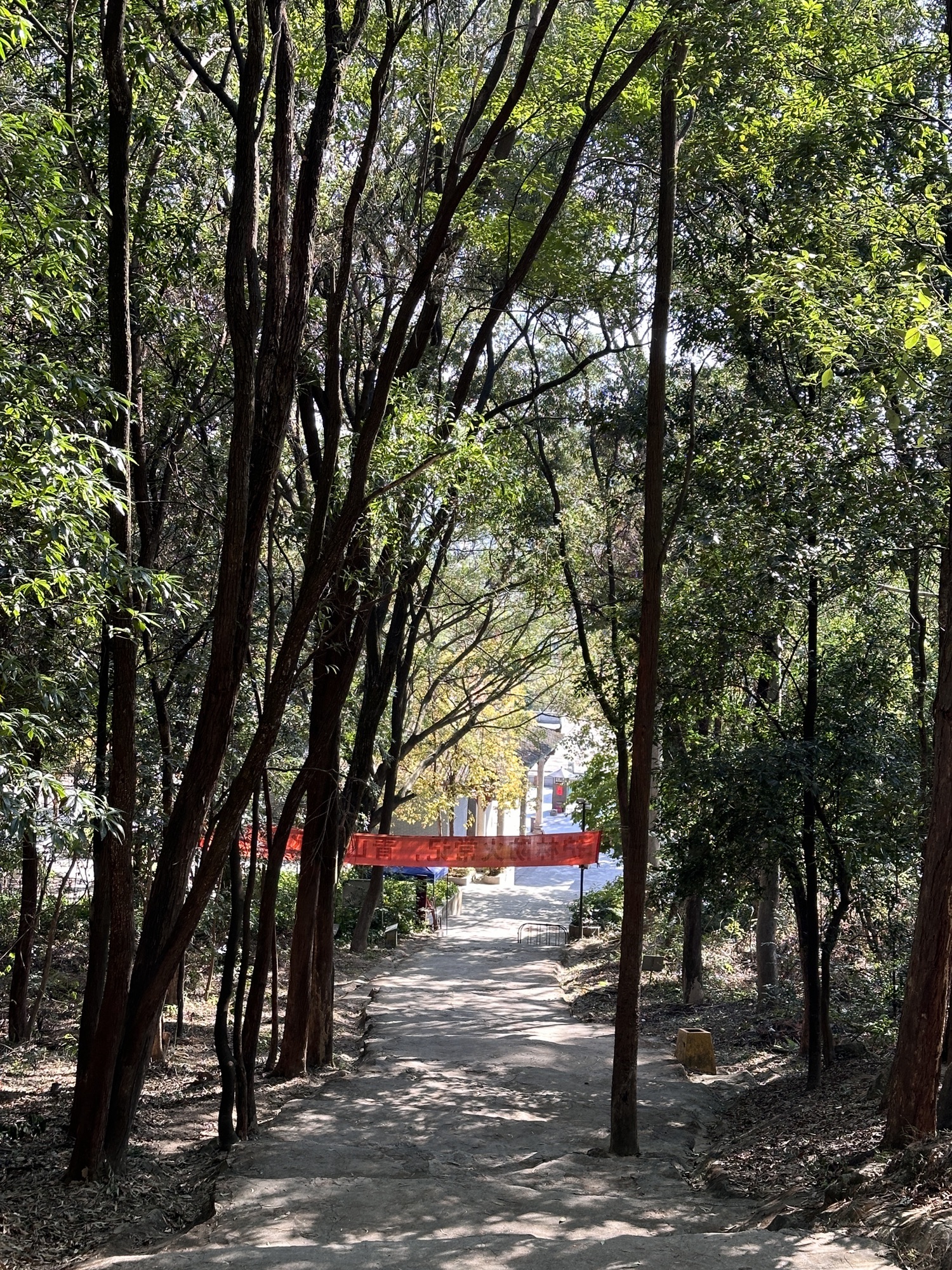 盘古王公园旅行图片 1