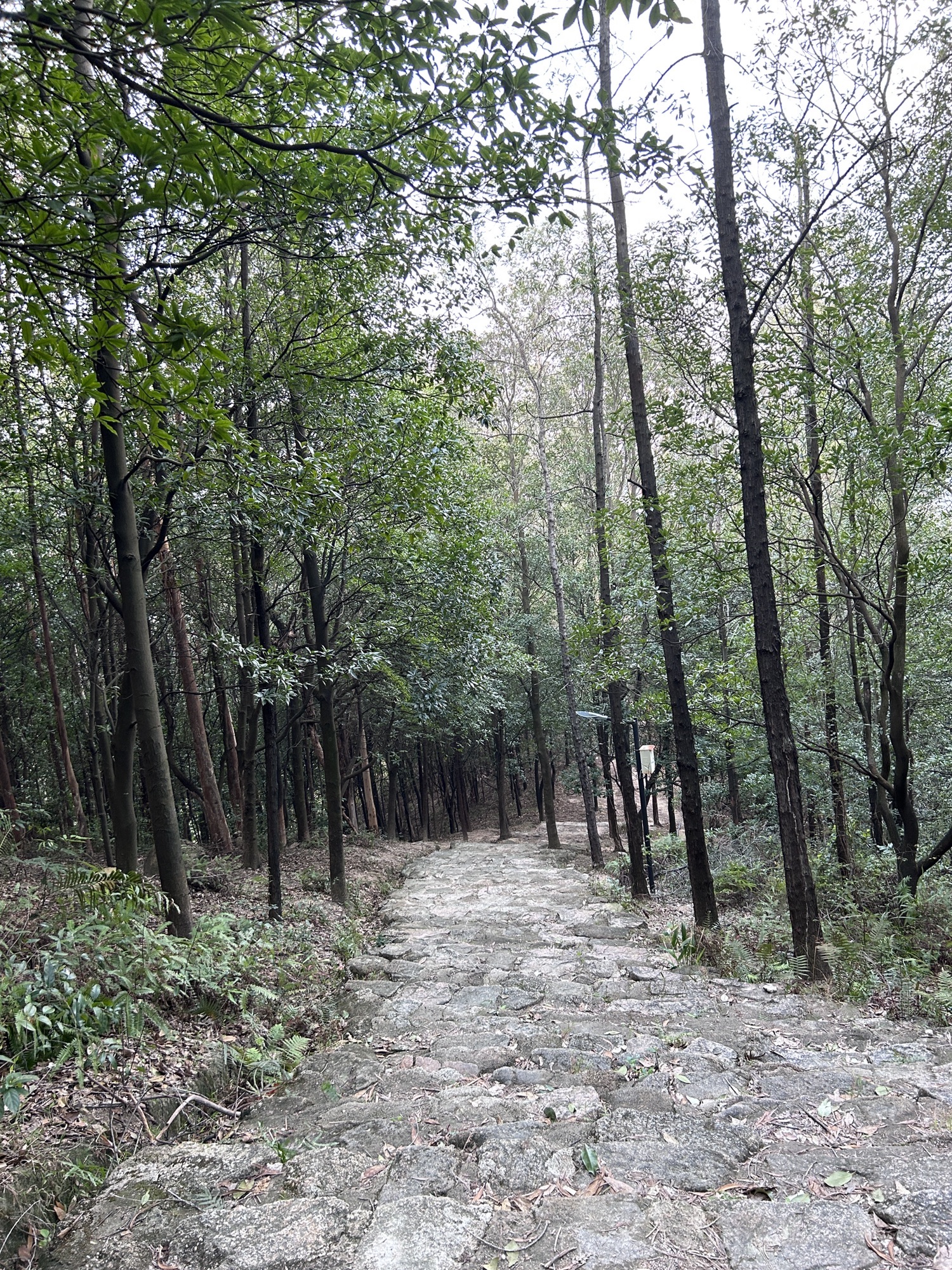 盘古王公园旅行图片 2