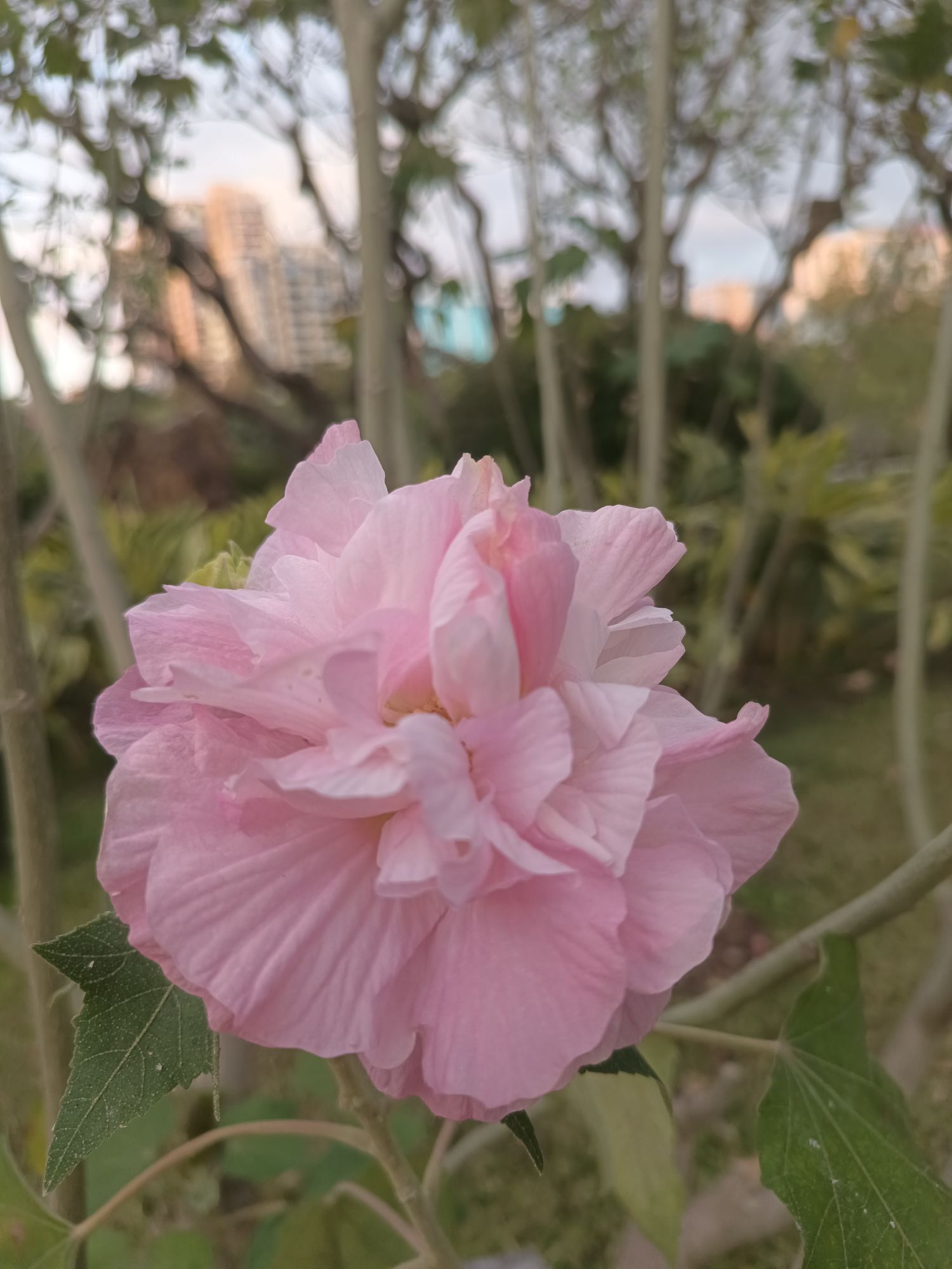 晓港公园旅行图片 2