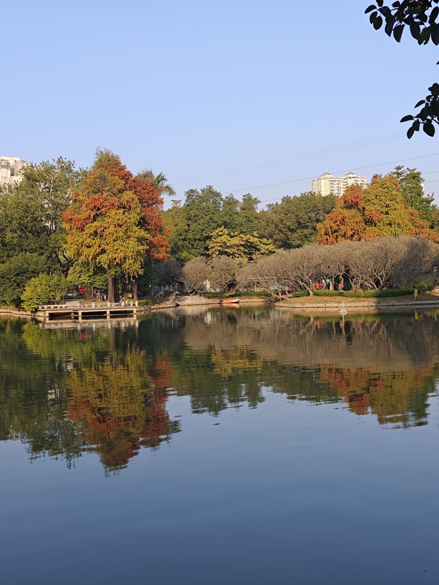 晓港公园旅行图片 1