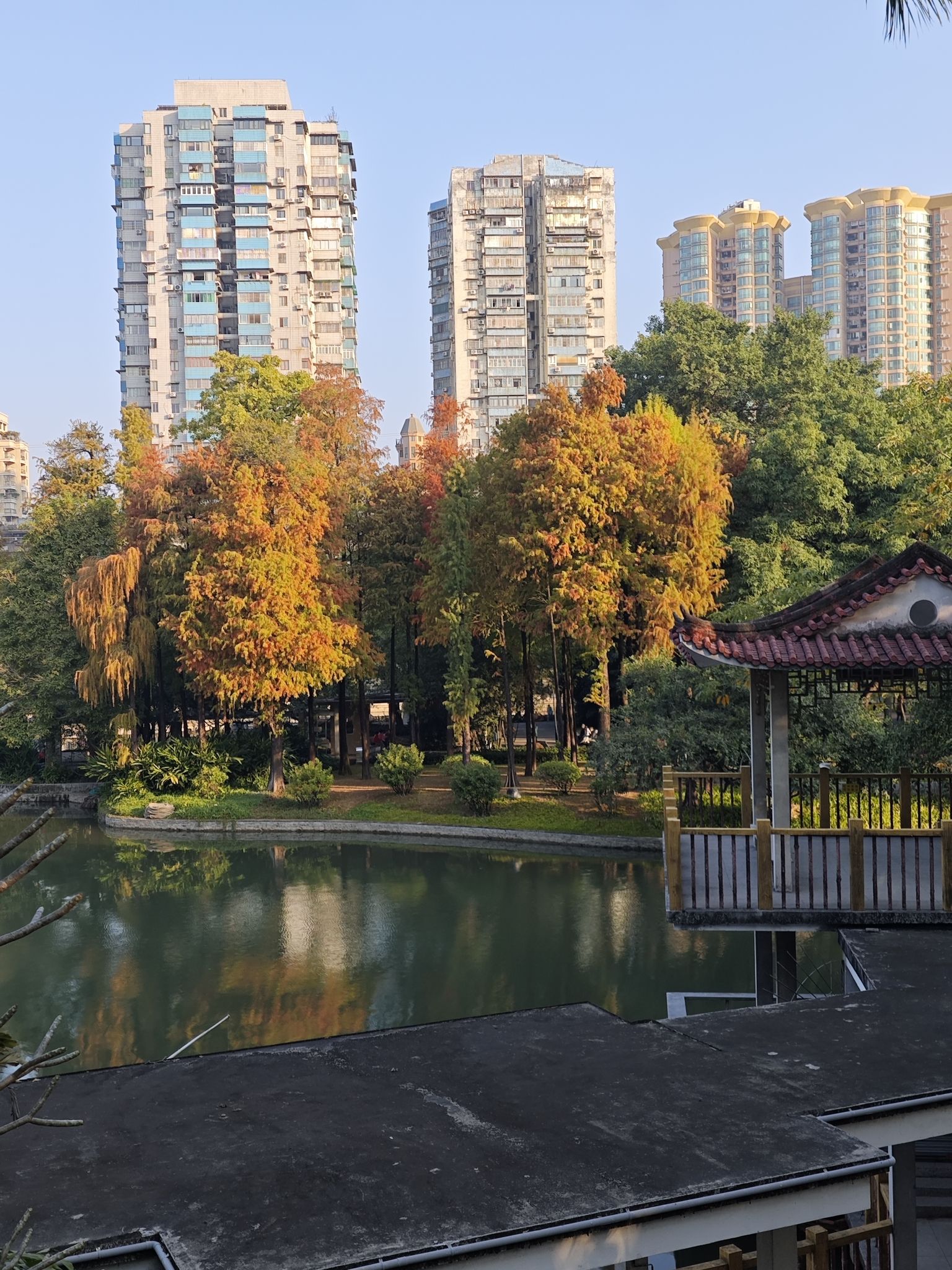 晓港公园旅行图片 2
