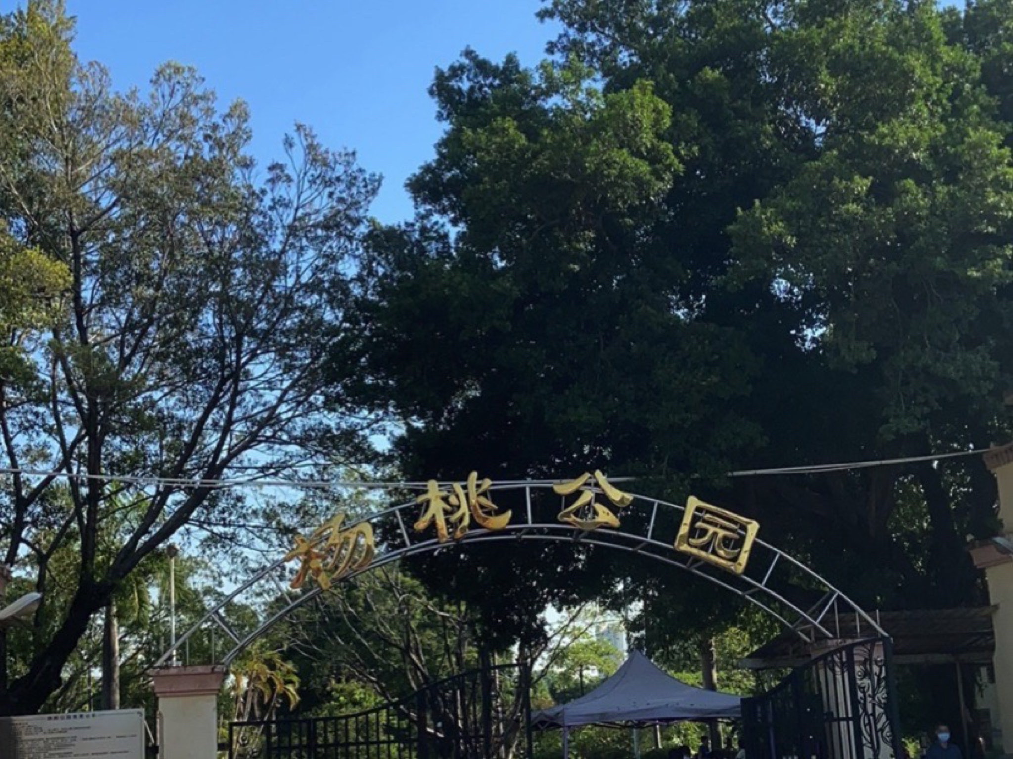 杨桃公园旅行图片 1