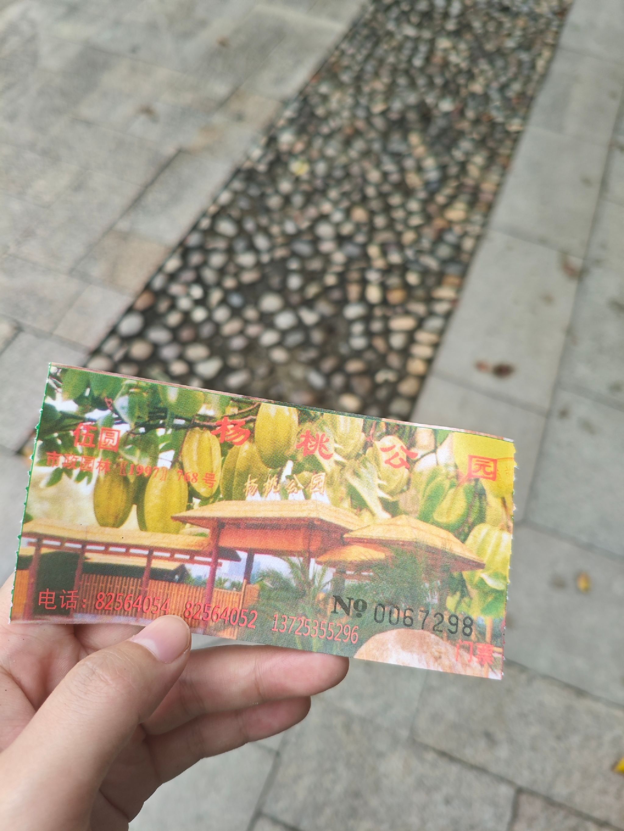 杨桃公园旅行图片 1