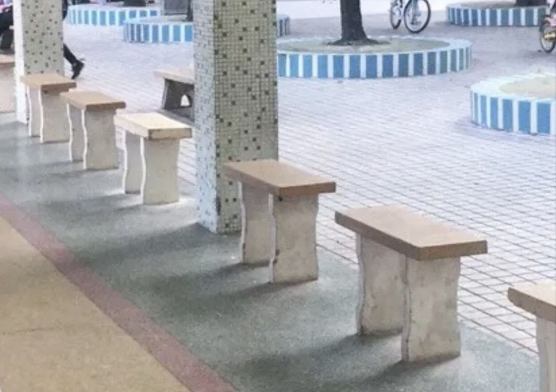 车陂公园旅行图片 1