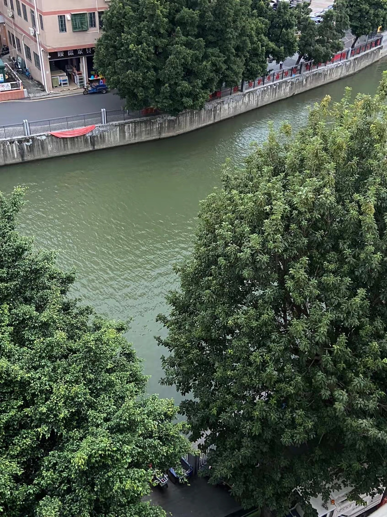 车陂公园旅行图片 3