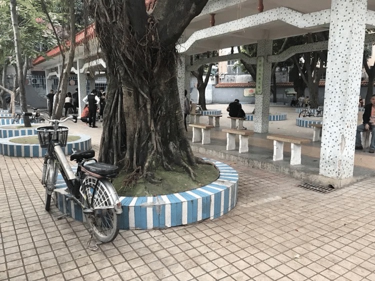 车陂公园旅行图片 2