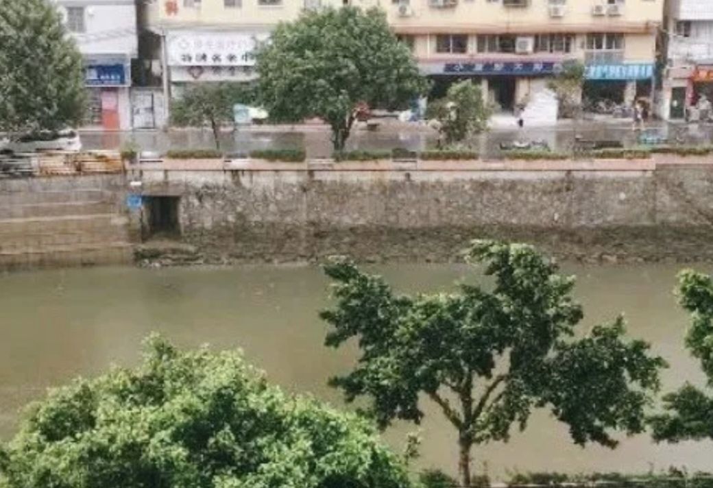 车陂公园旅行图片 3