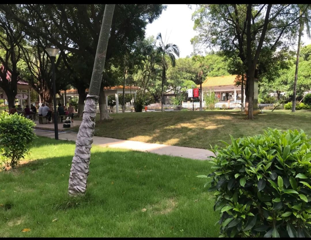 庆丰公园旅行图片 2